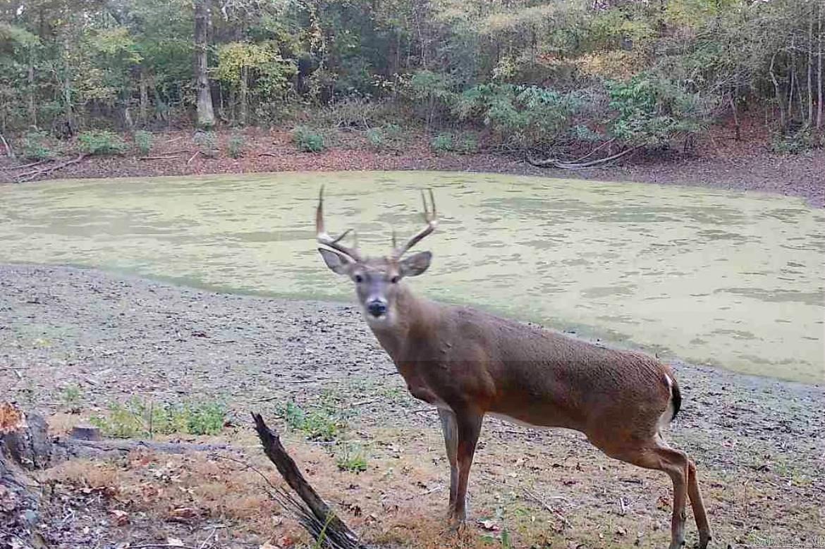 179 Little River 67  Ashdown, AR