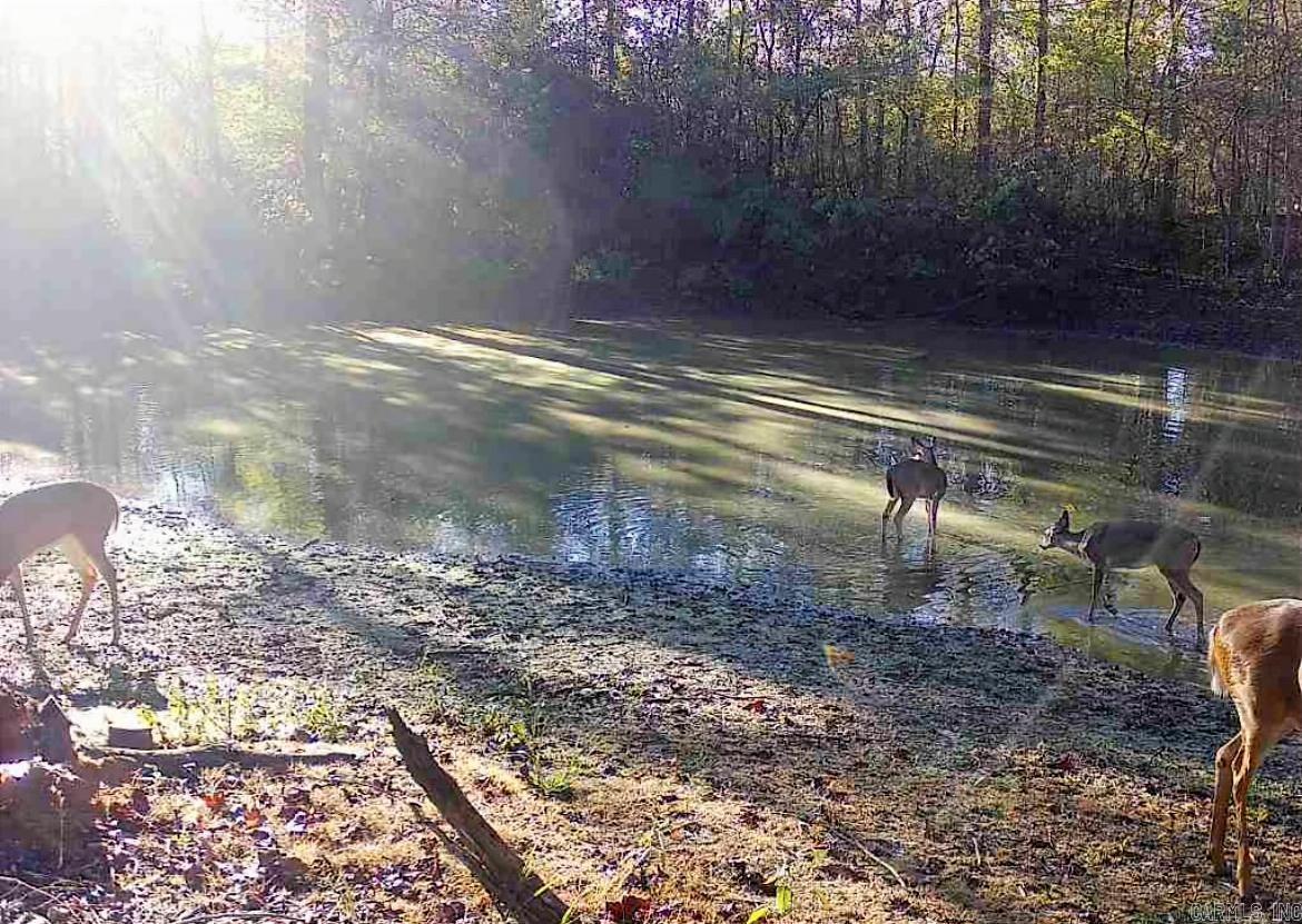179 Little River 67  Ashdown, AR