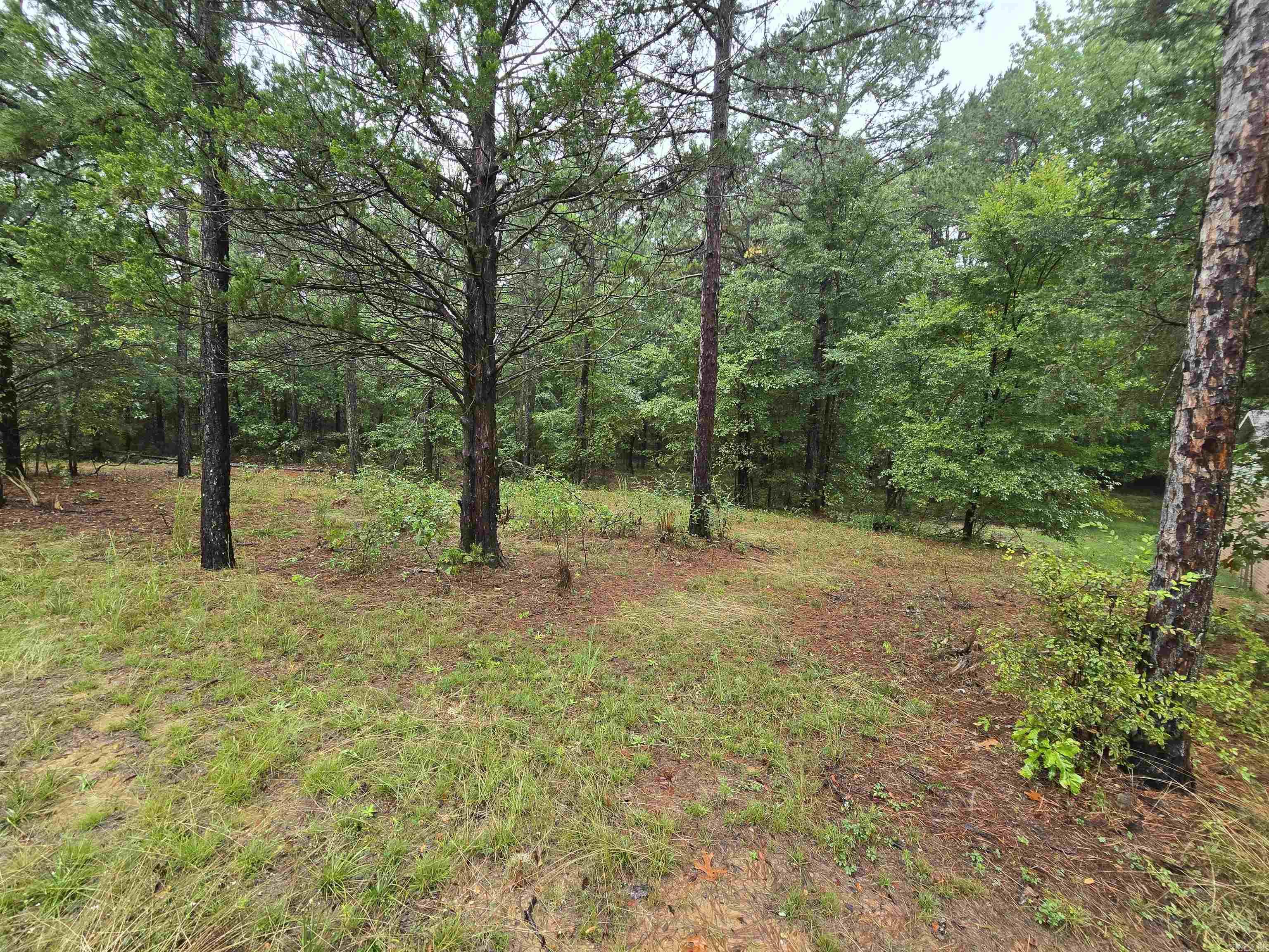 4906 Finch  Paragould, AR