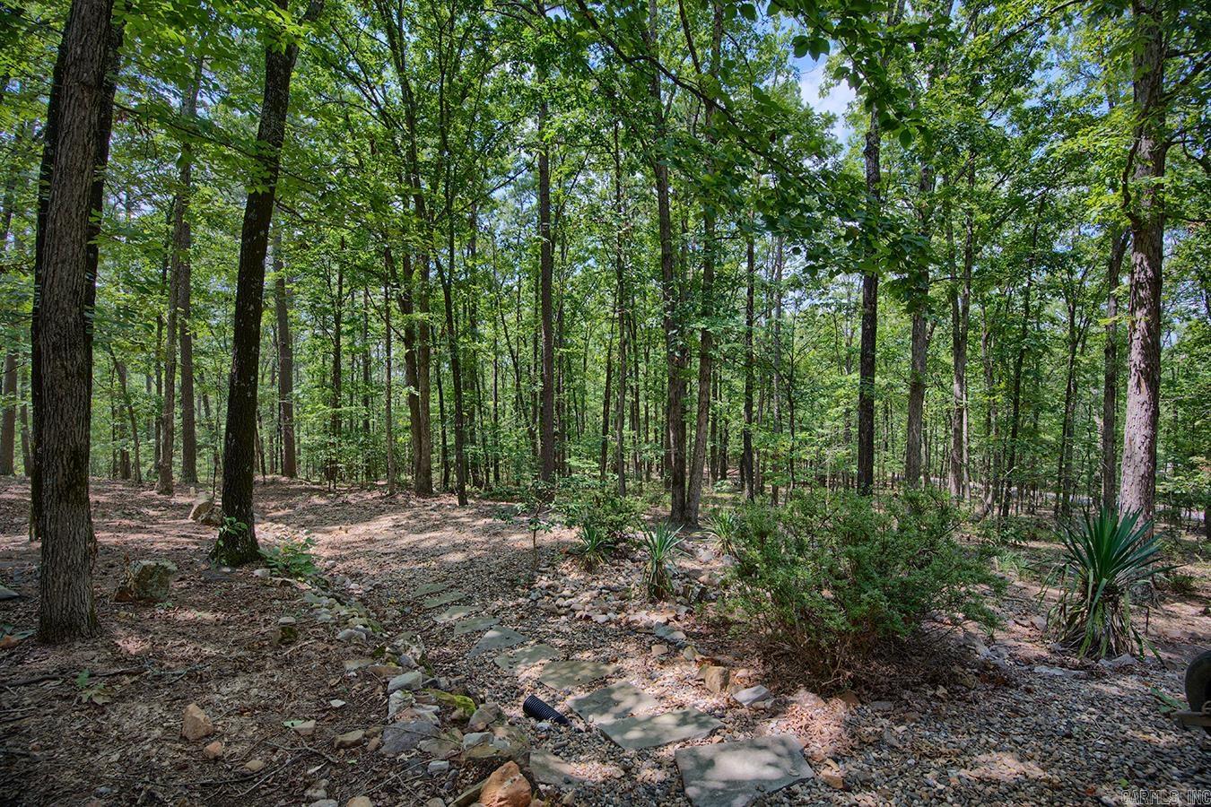 44 Valencia Way  Hot Springs Village, AR
