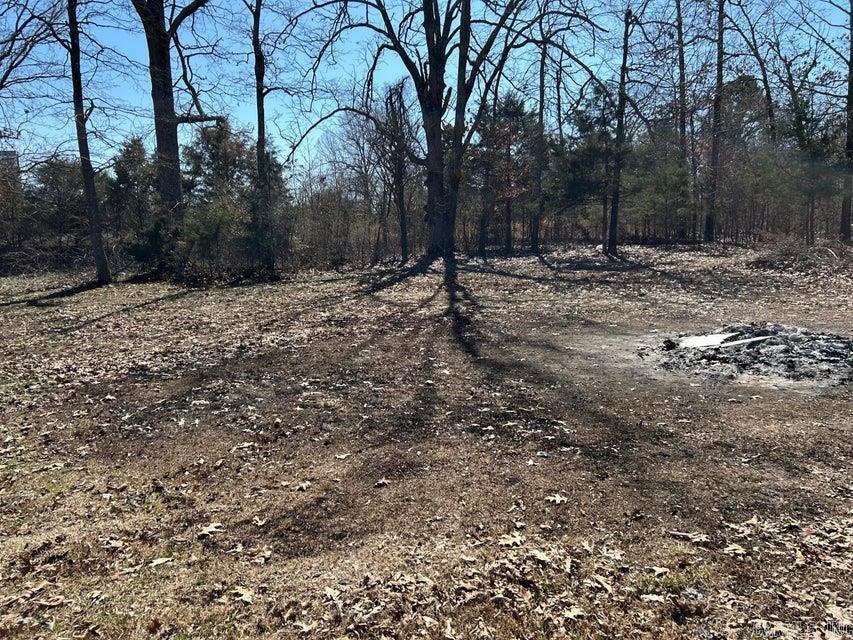 30 Bittersweet  Hardy, AR