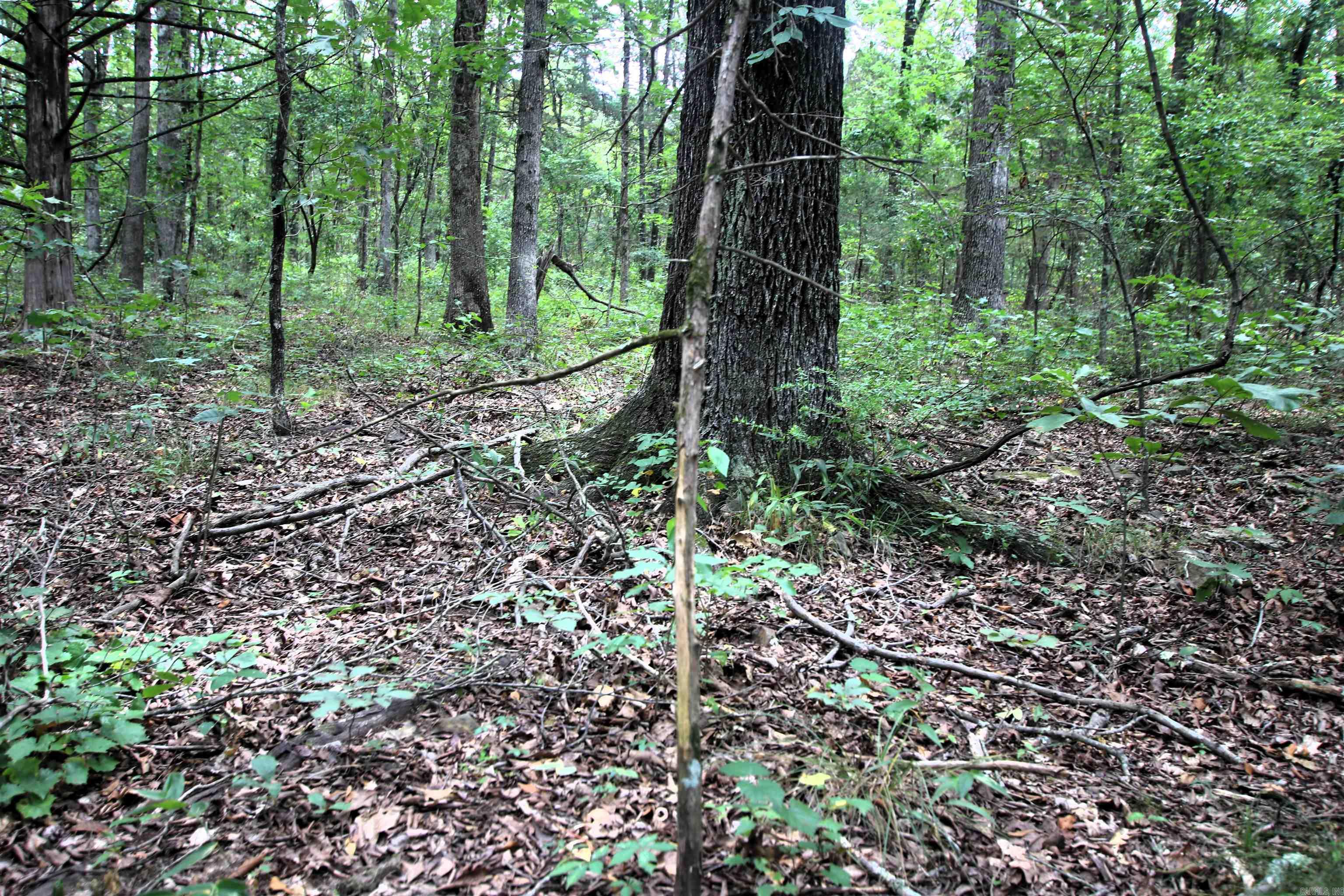 000 Merryman  Clinton, AR