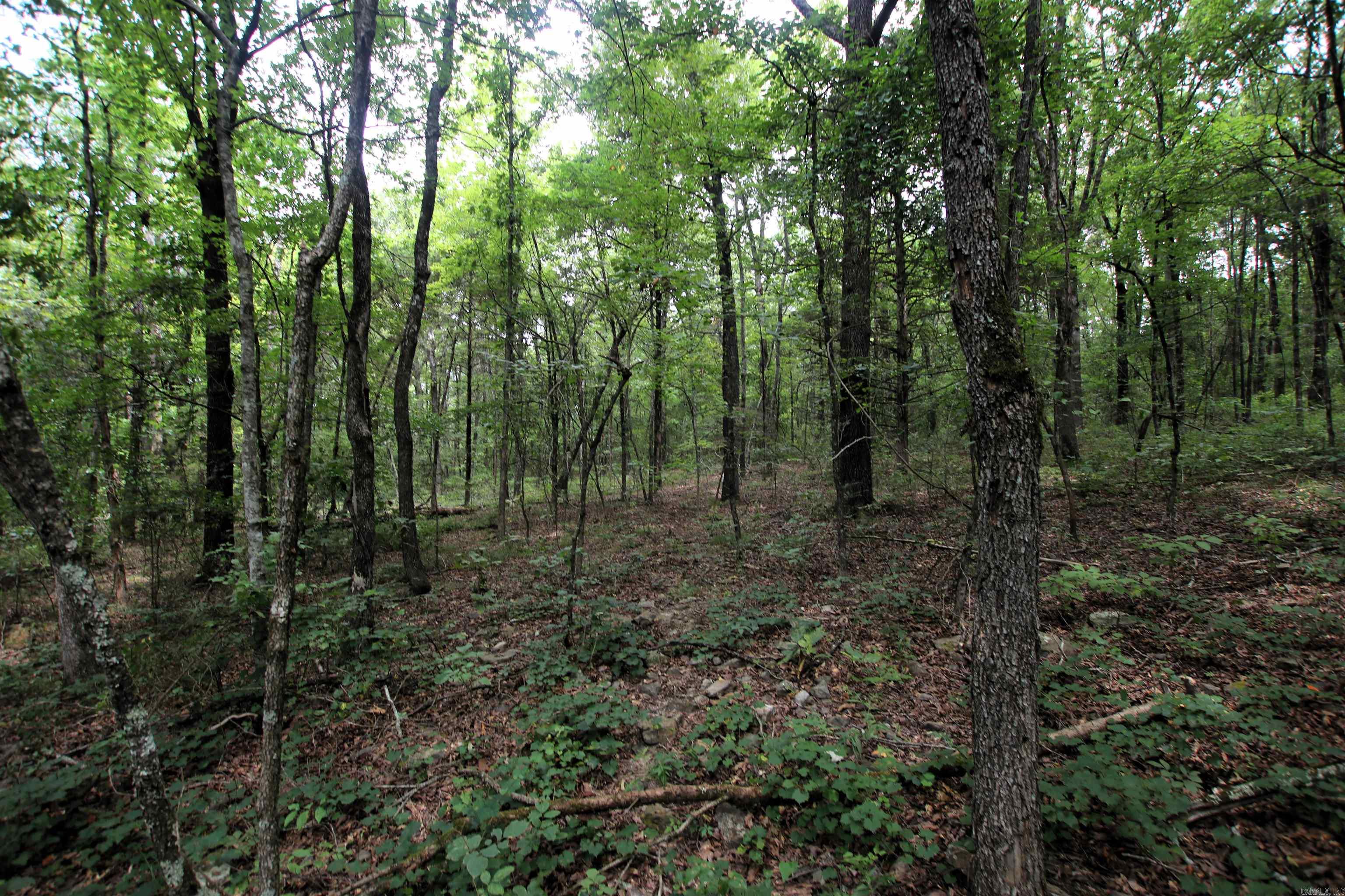000 Merryman  Clinton, AR