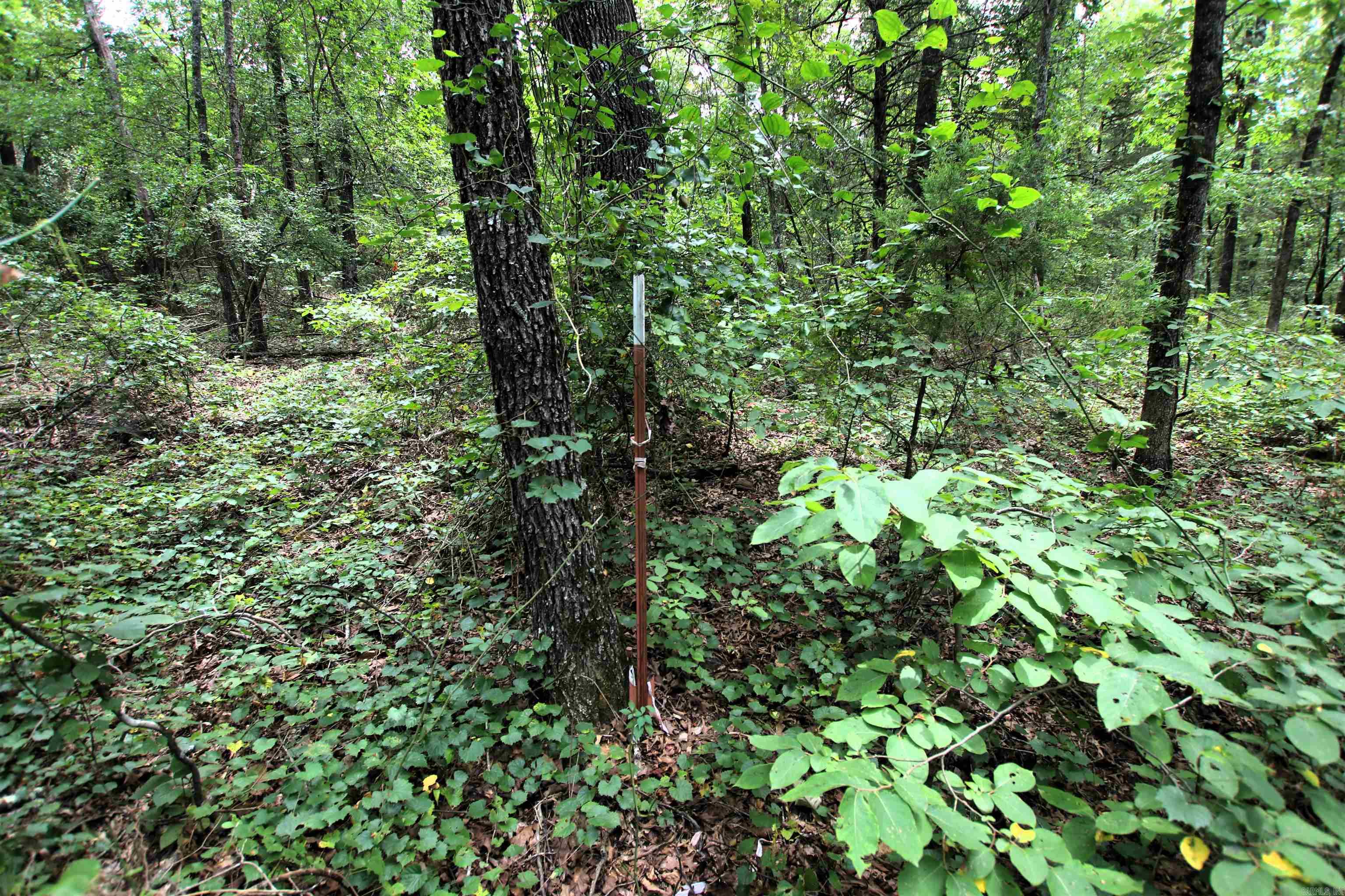 000 Merryman  Clinton, AR