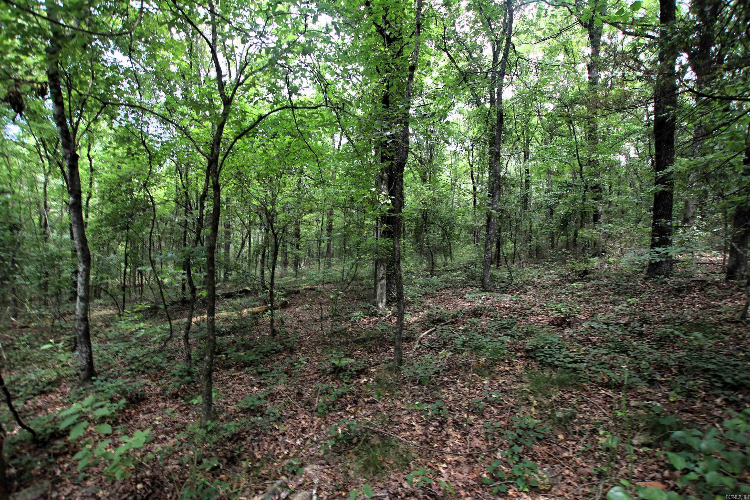 000 Merryman  Clinton, AR
