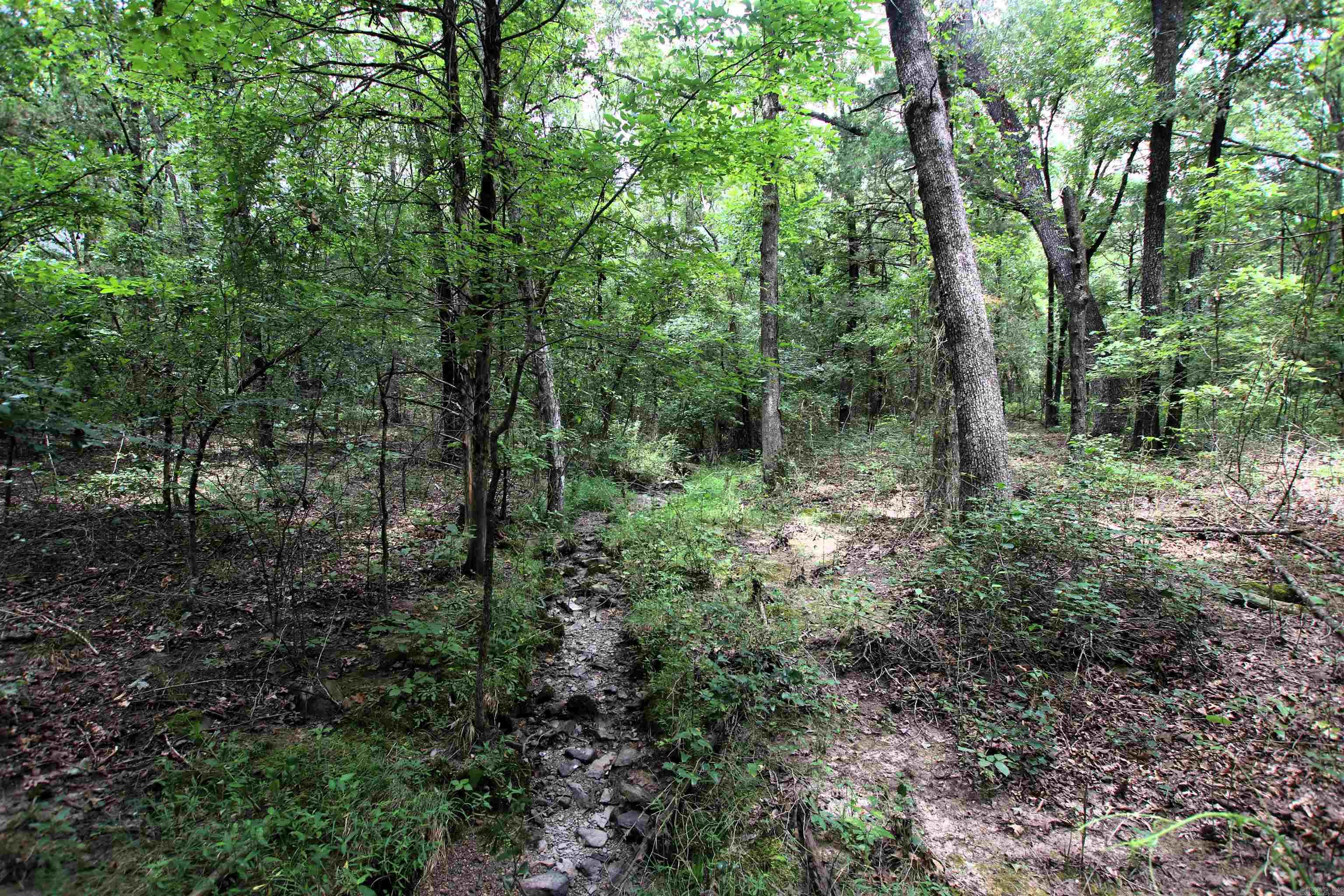 000 Merryman  Clinton, AR