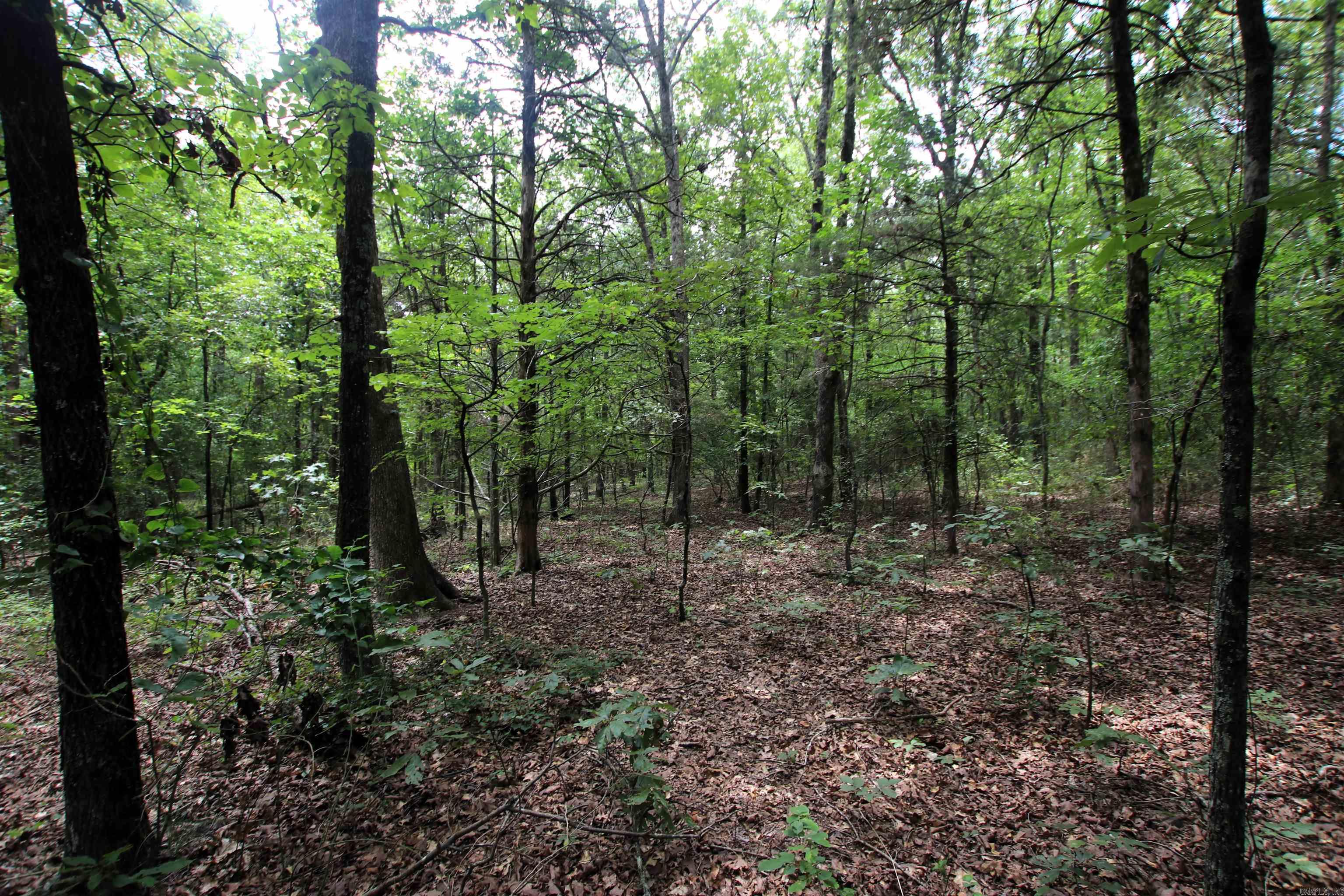 000 Merryman  Clinton, AR