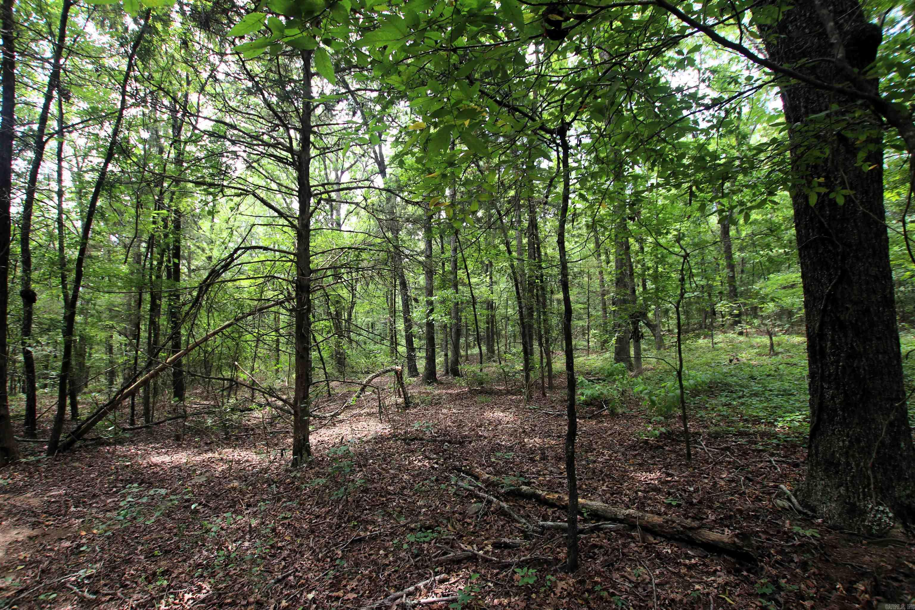 000 Merryman  Clinton, AR