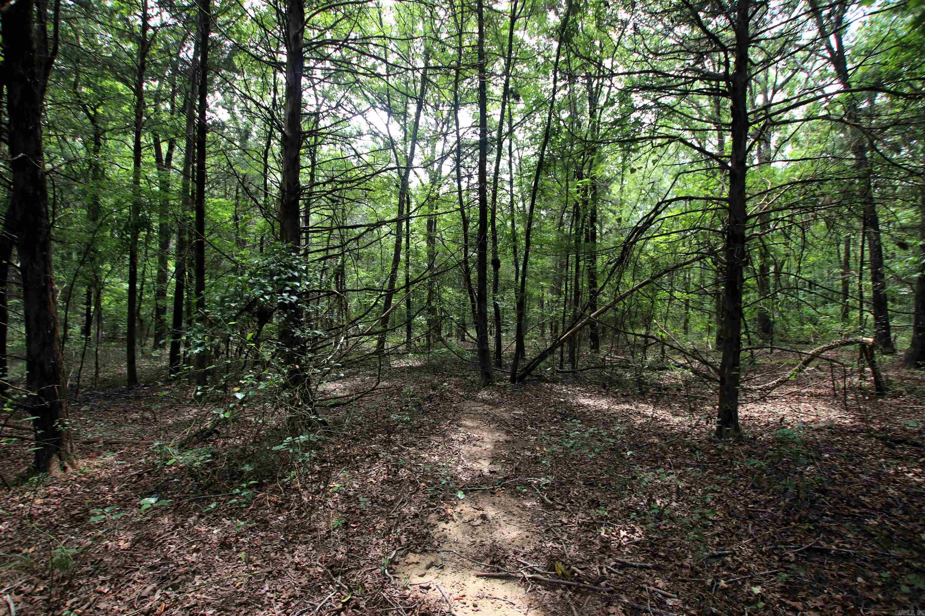 000 Merryman  Clinton, AR