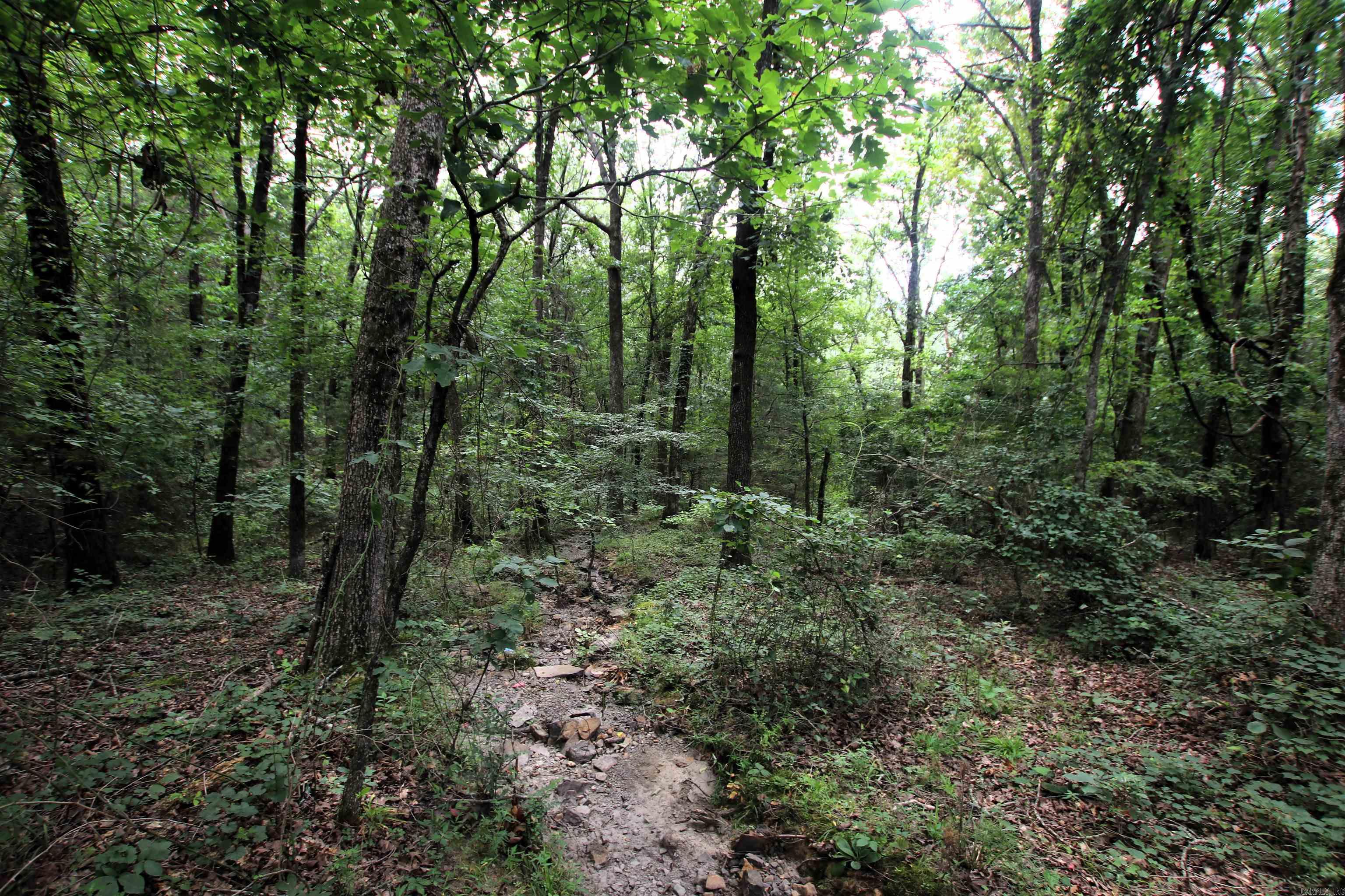 000 Merryman  Clinton, AR