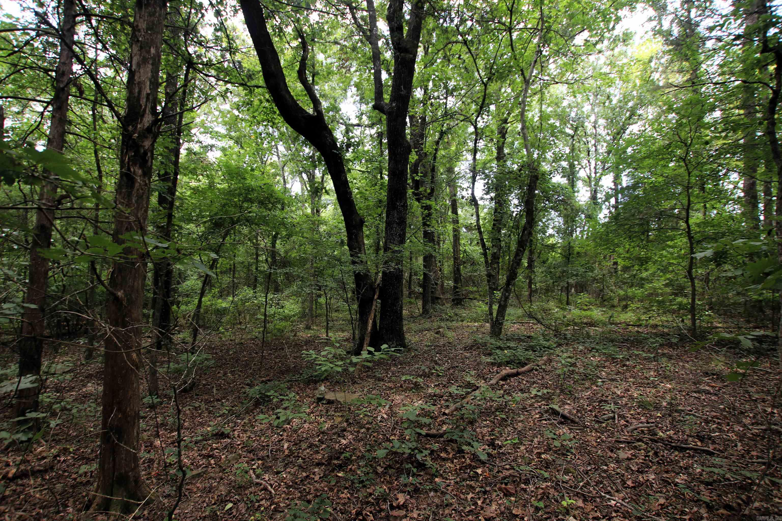 000 Merryman  Clinton, AR