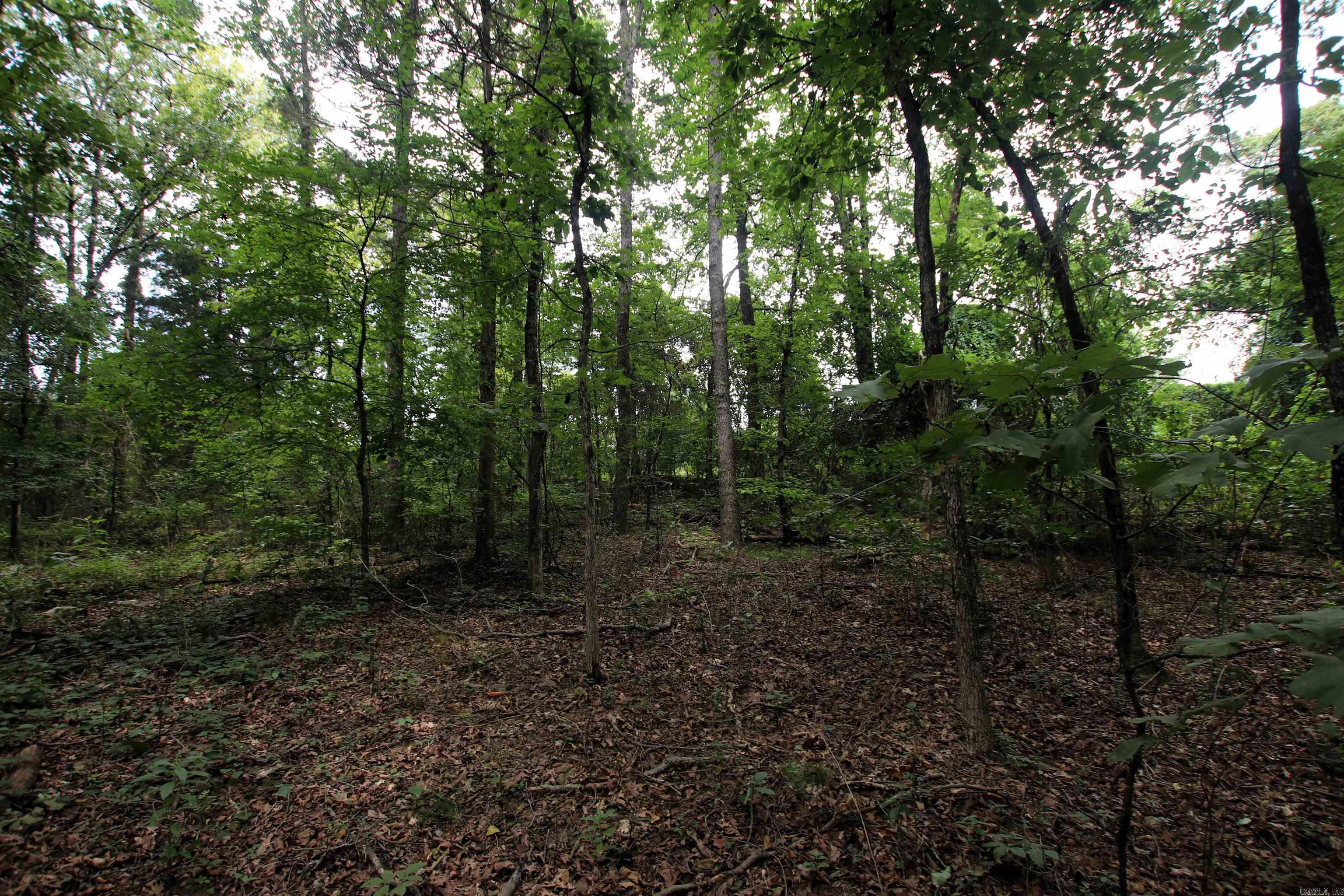 000 Merryman  Clinton, AR