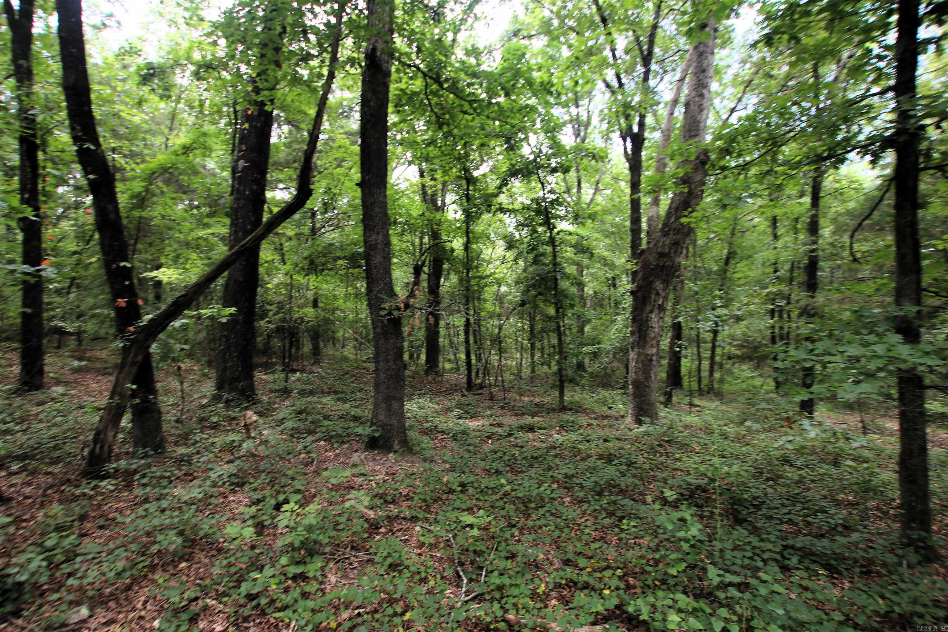 000 Merryman  Clinton, AR