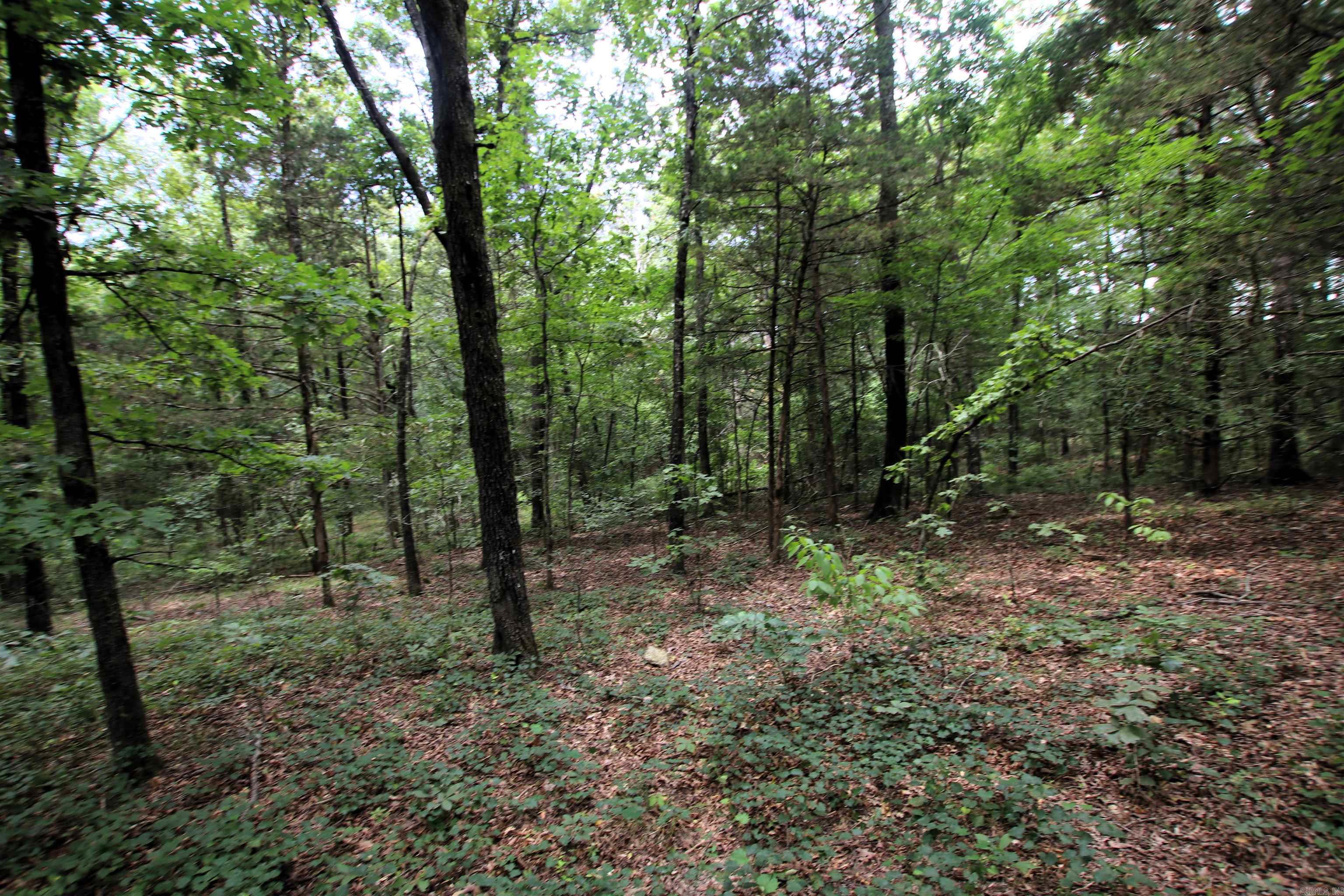 000 Merryman  Clinton, AR