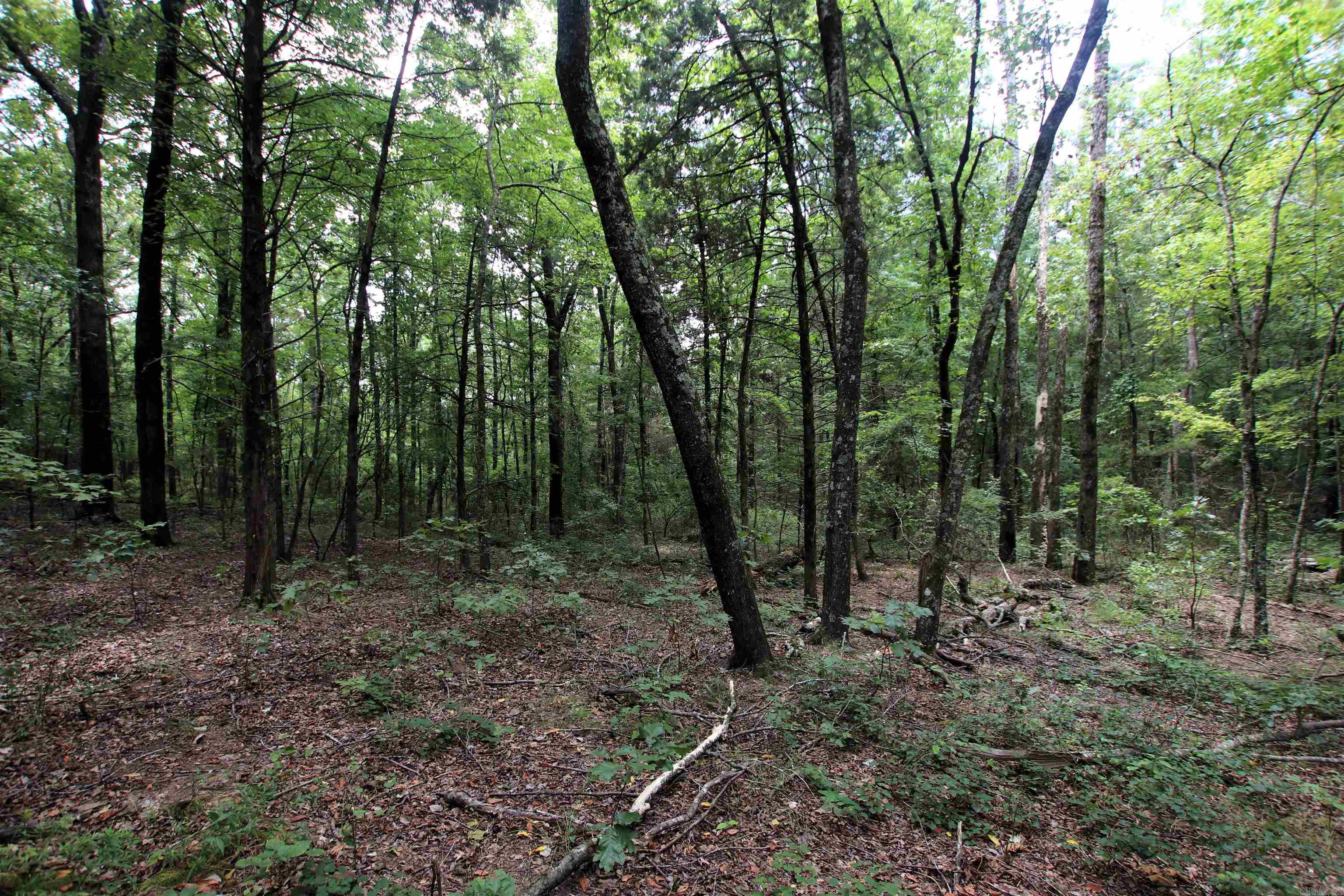 000 Merryman  Clinton, AR