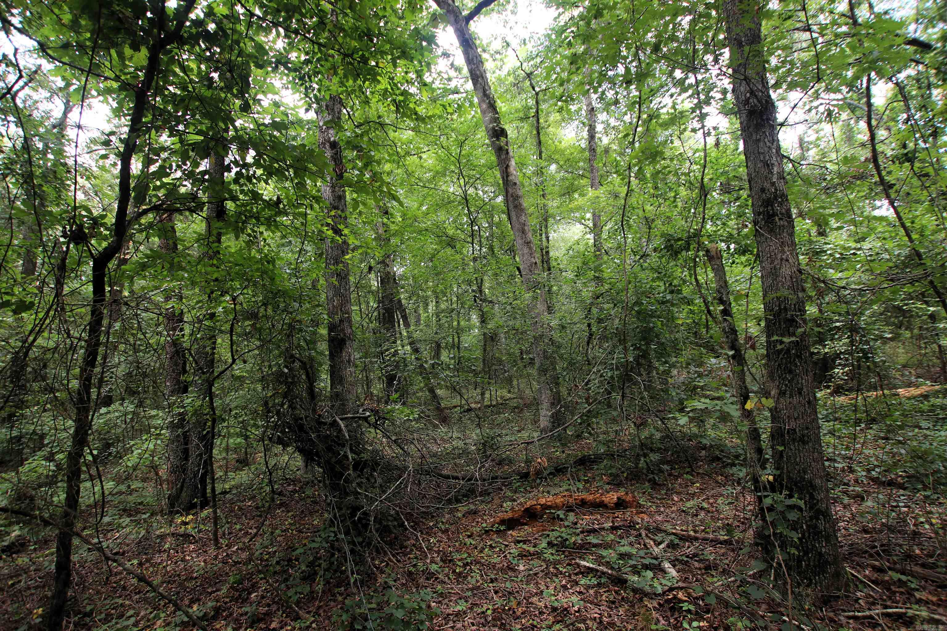 000 Merryman  Clinton, AR