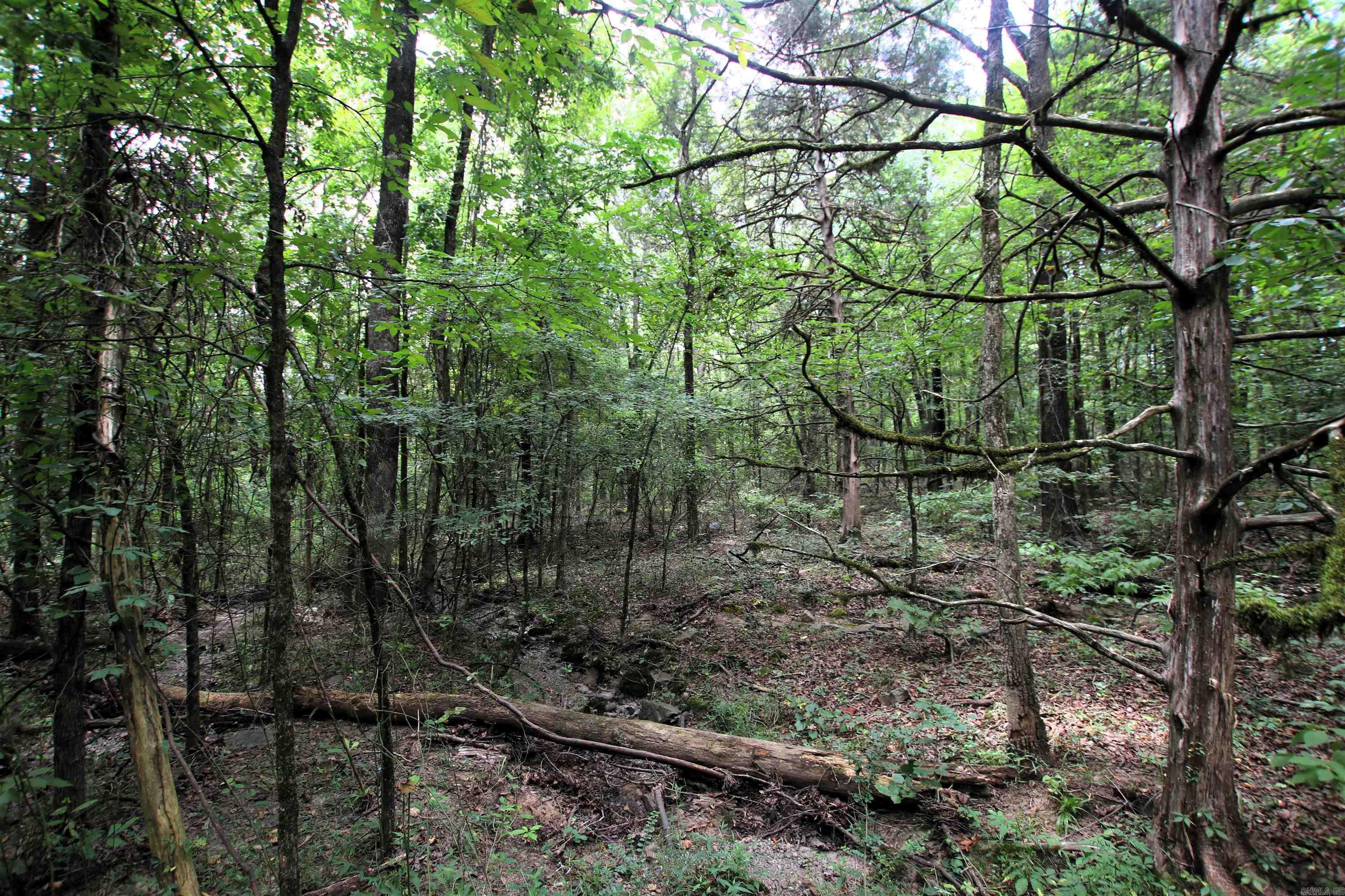 000 Merryman  Clinton, AR