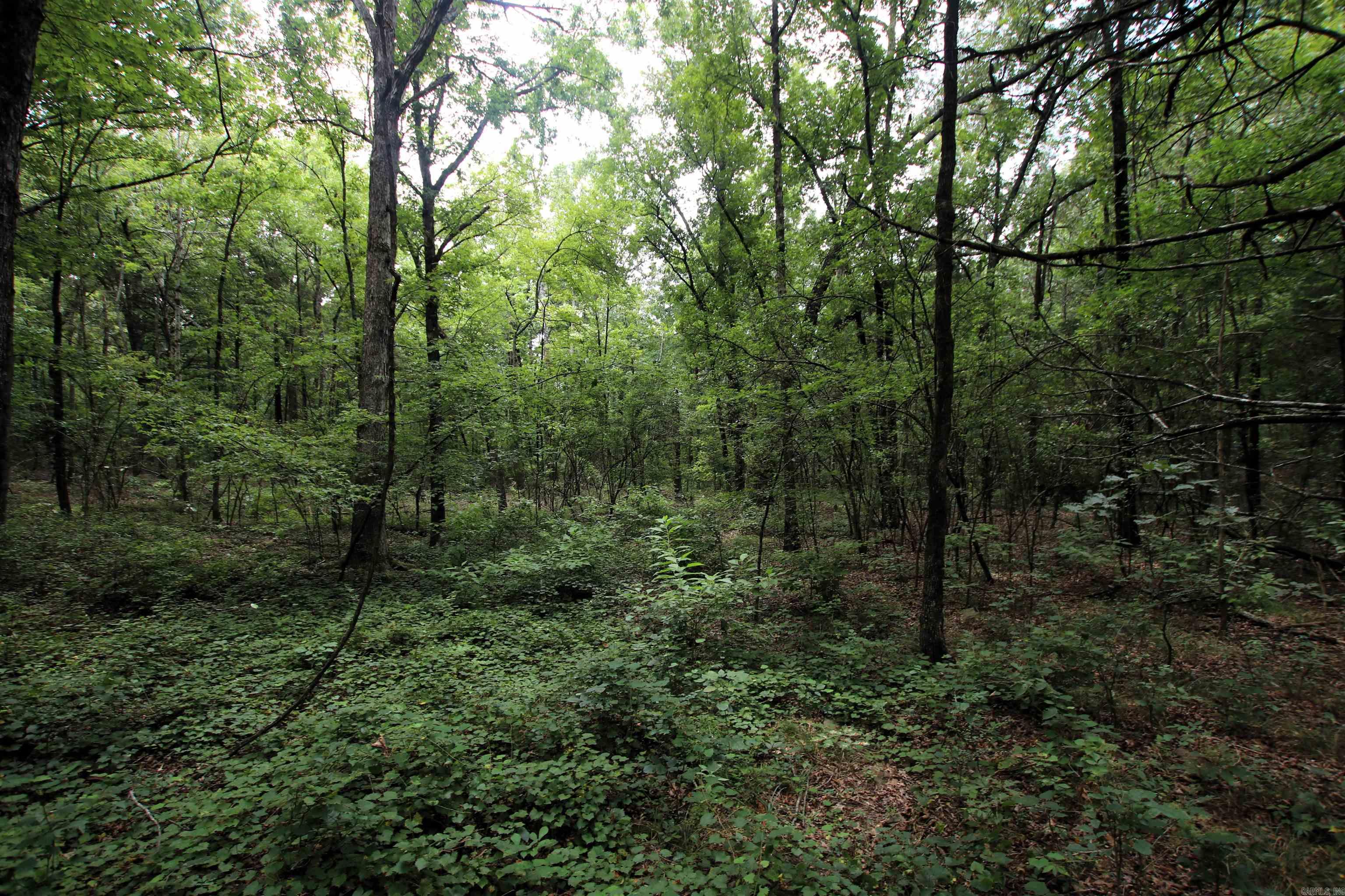 000 Merryman  Clinton, AR