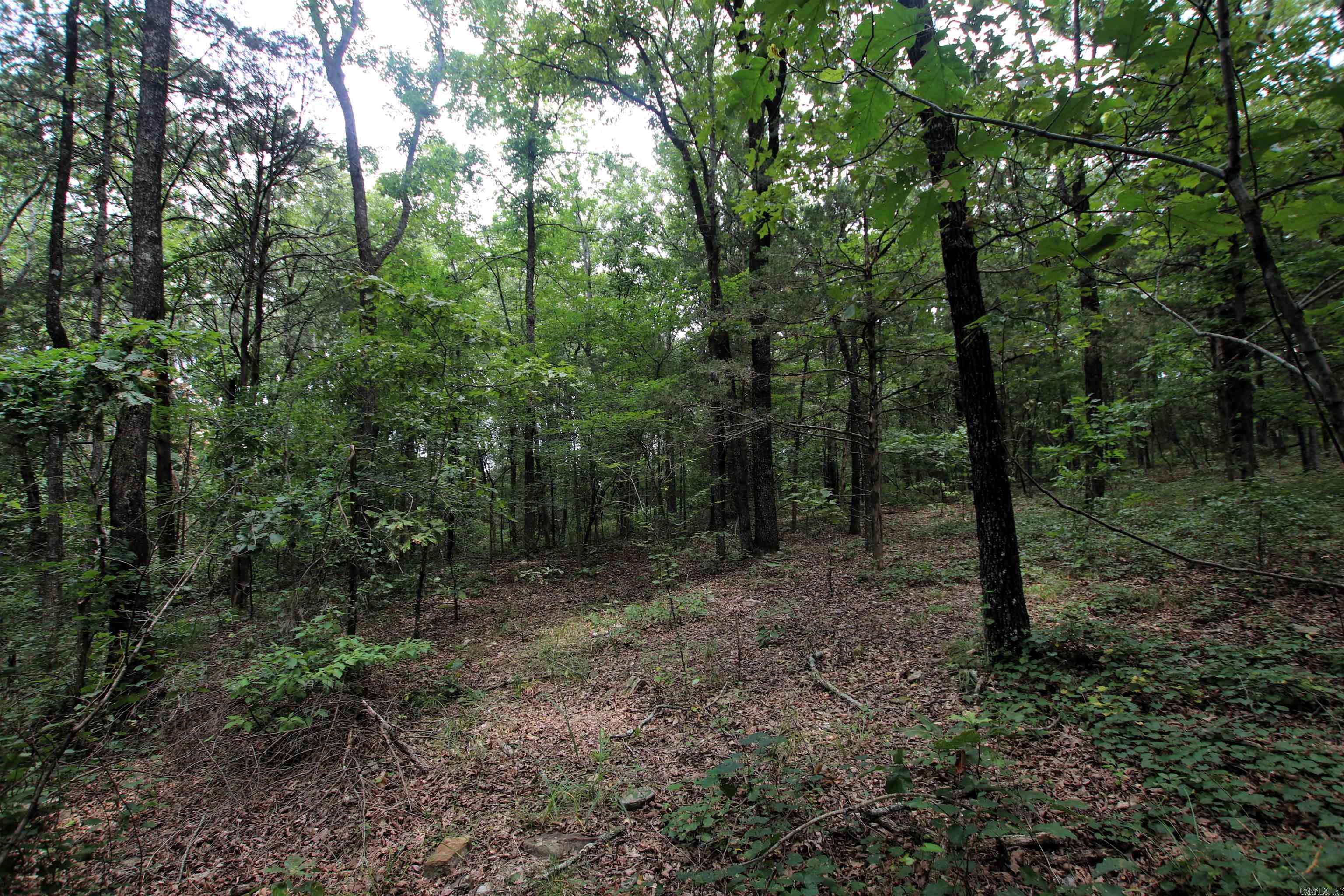 000 Merryman  Clinton, AR