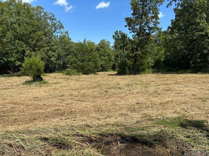 700 Rocky  Thida, AR