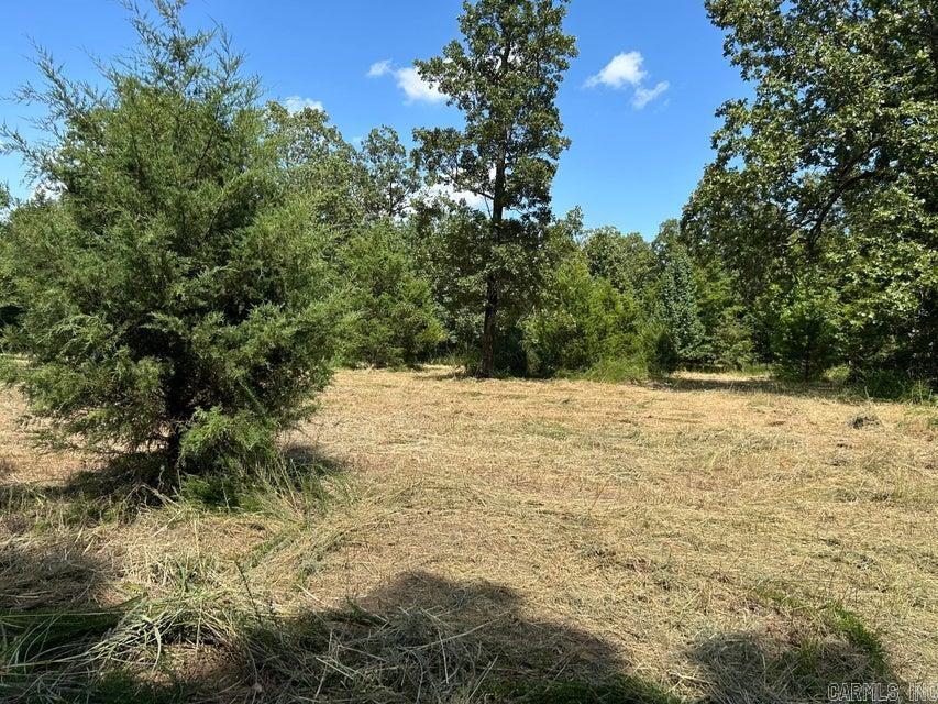 700 Rocky  Thida, AR