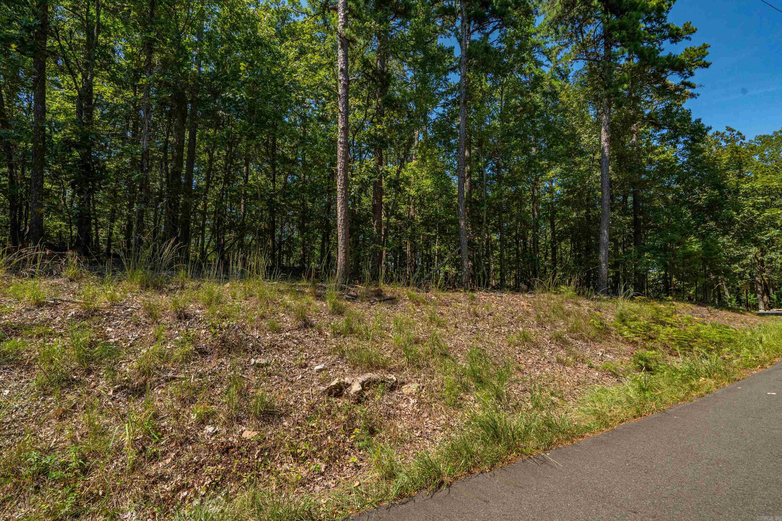 0 Lake Ouachita  Mountain Pine, AR