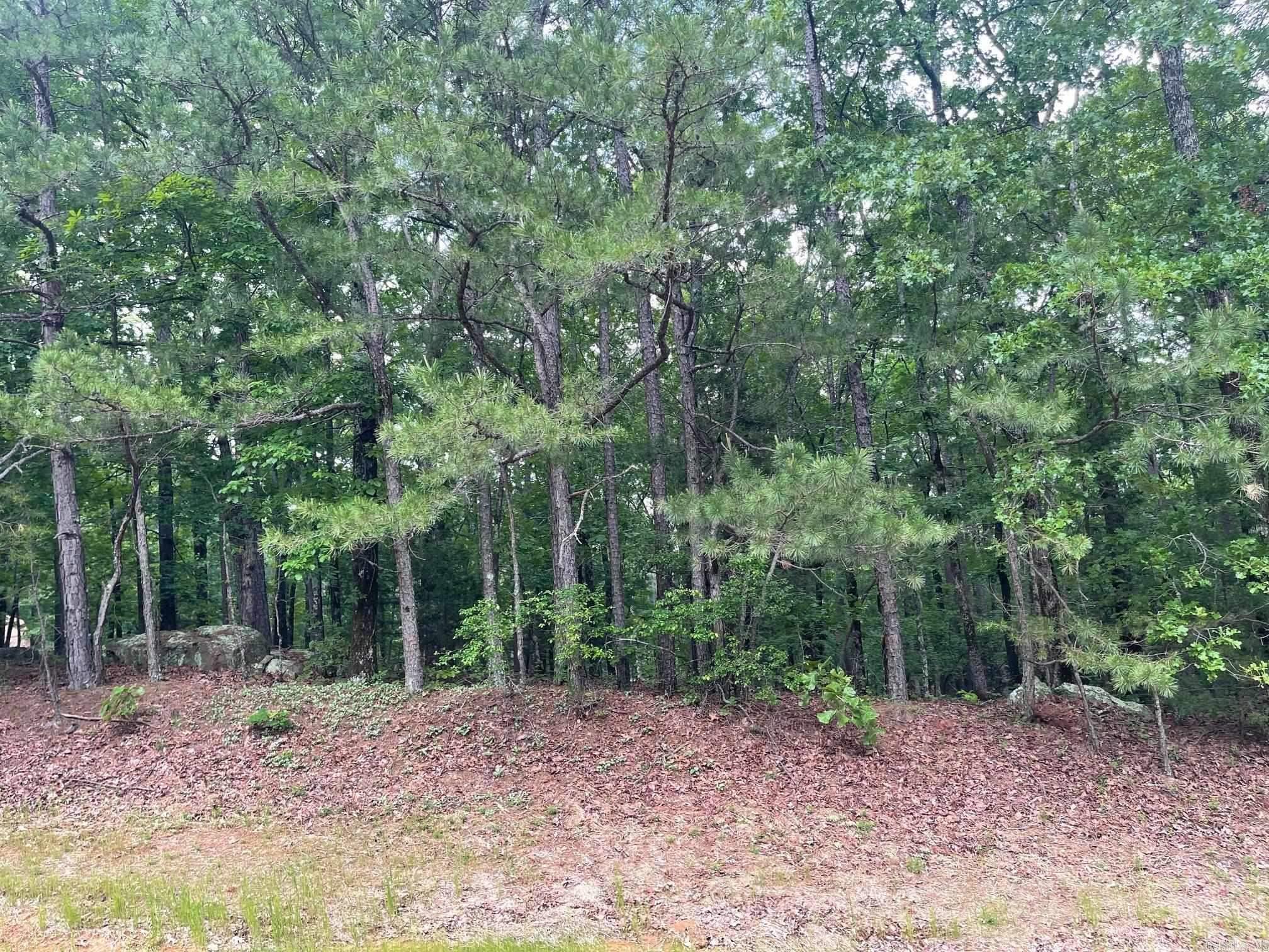lot 95 Mountain Ranch  Fairfield Bay, AR