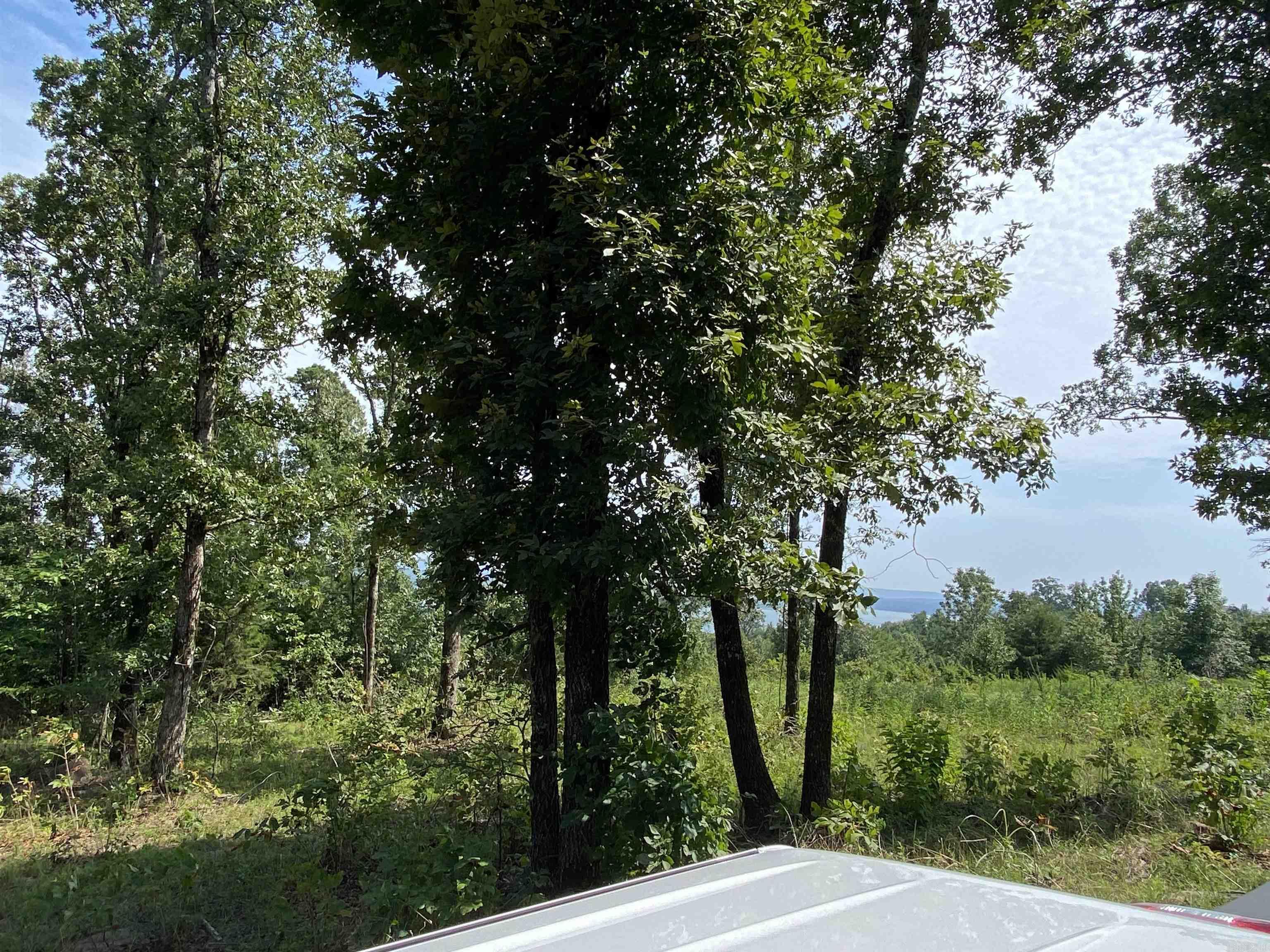 Lot 6 & 7 Bluff Dr.  Edgemont, AR