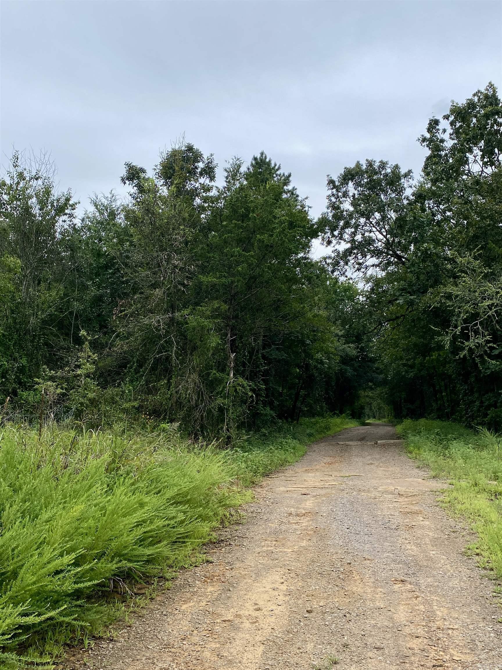 TBD Wildwood Trail  Ozark, AR