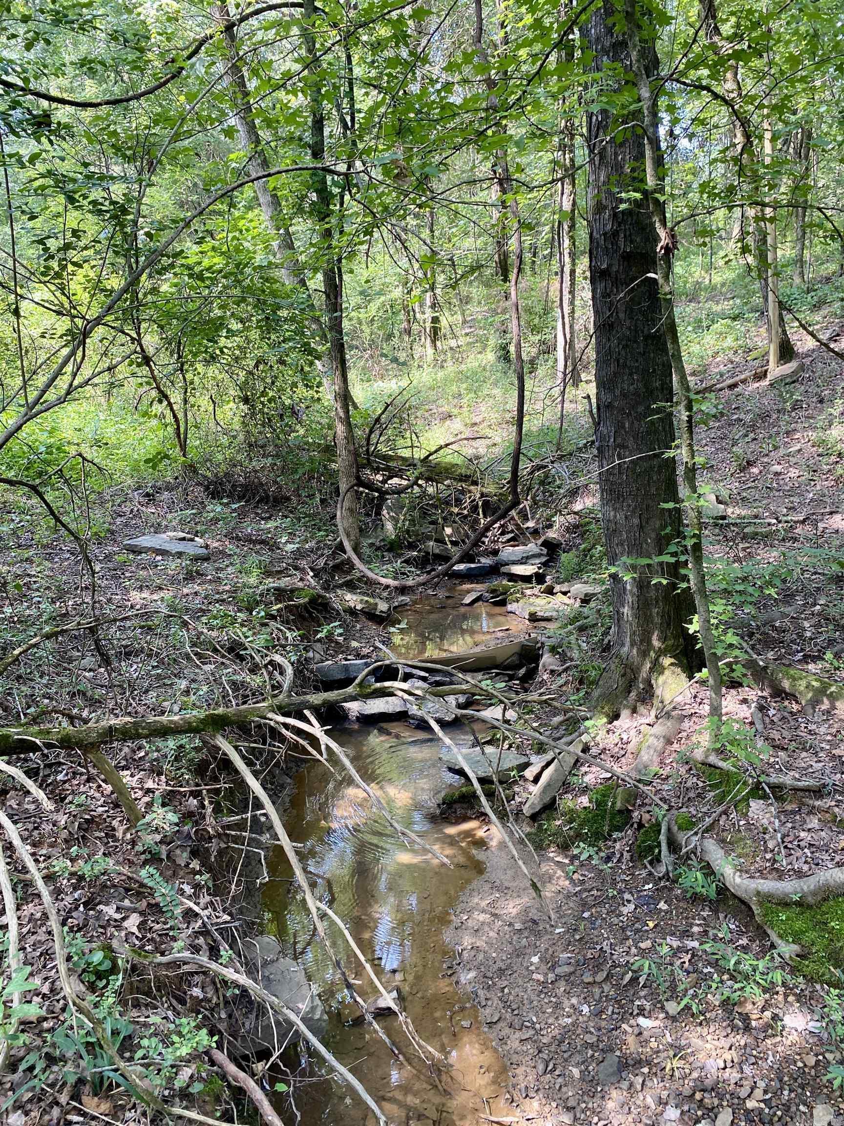 TBD Wildwood Trail  Ozark, AR
