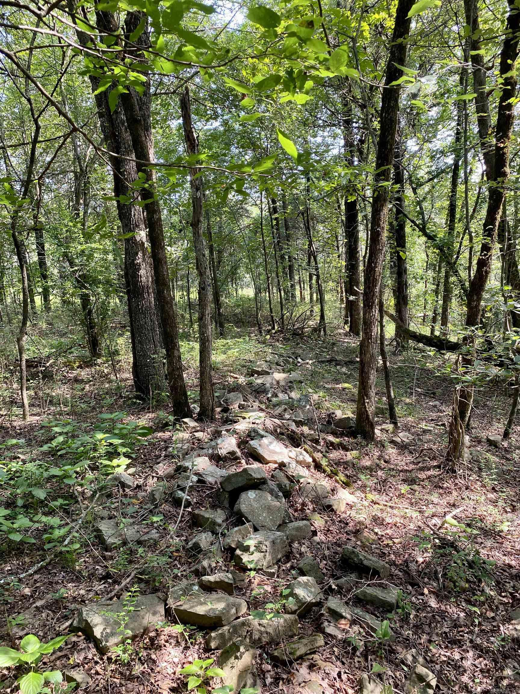 TBD Wildwood Trail  Ozark, AR