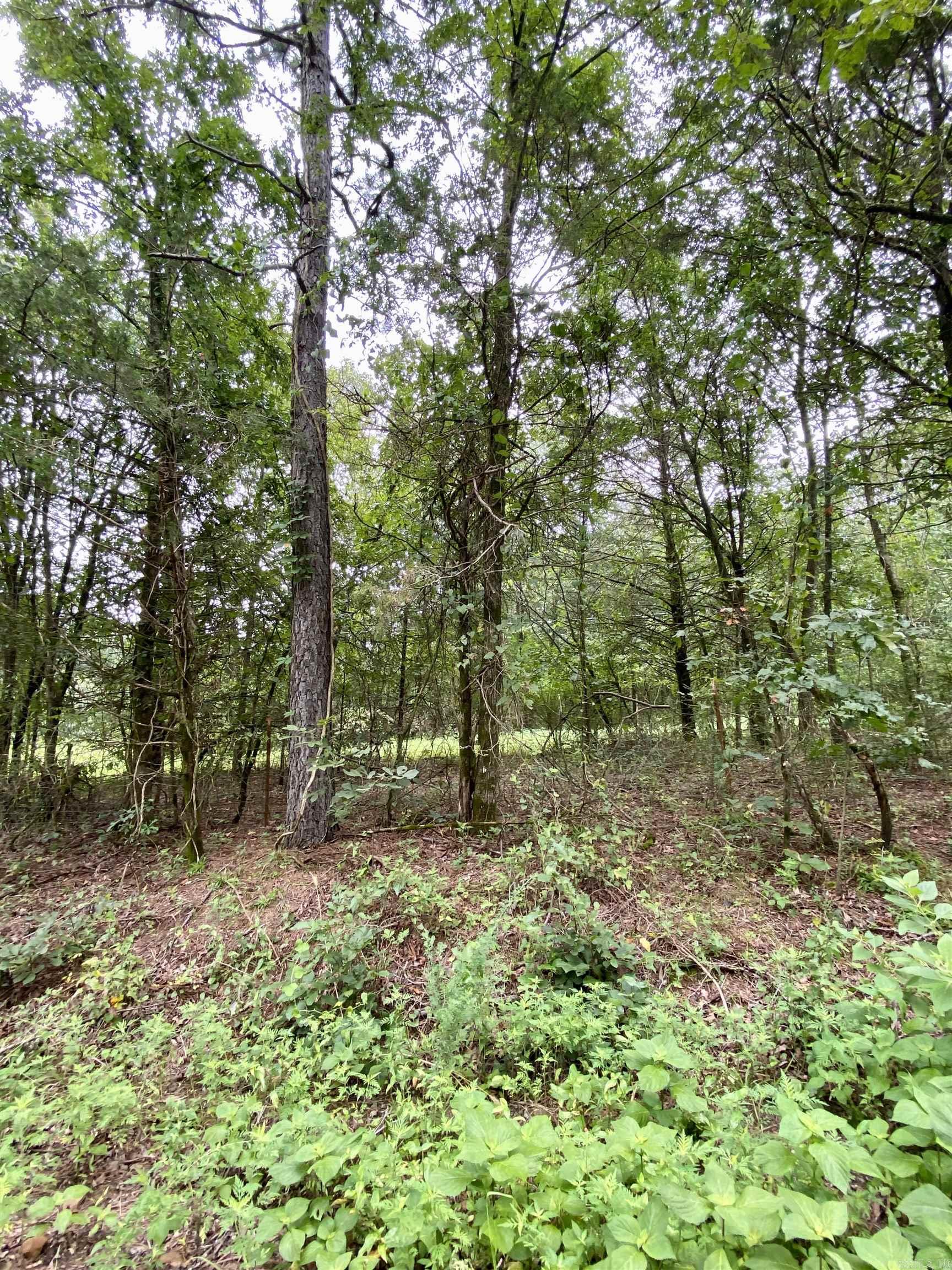TBD Wildwood Trail  Ozark, AR