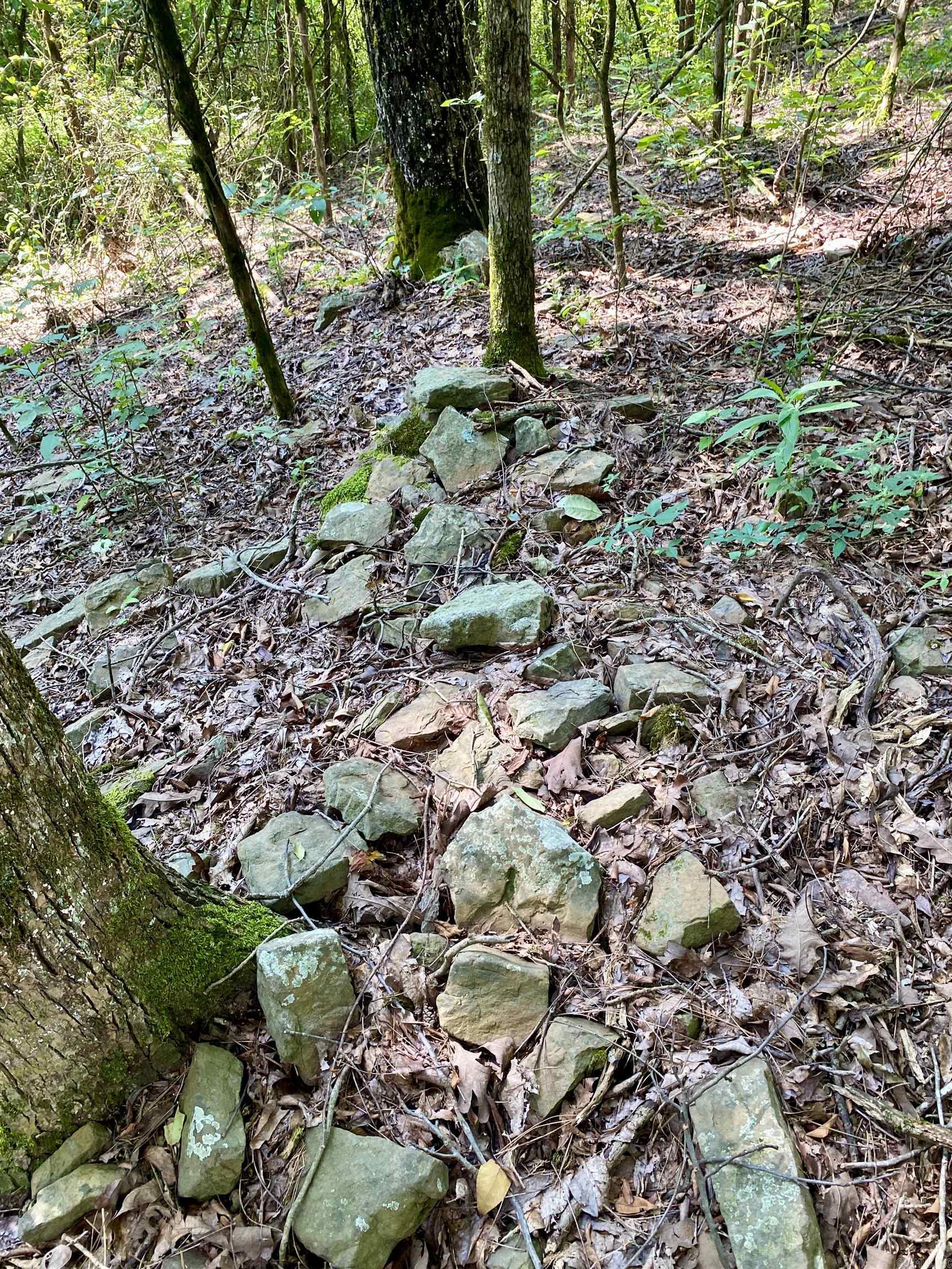TBD Wildwood Trail  Ozark, AR