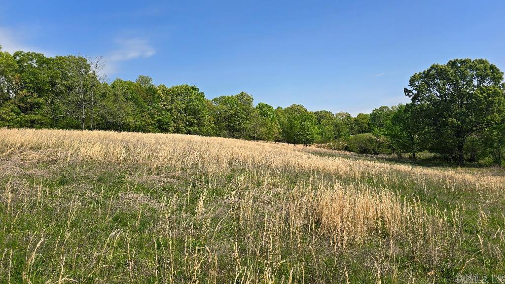 20949 Distress Creek  Harrisburg, AR