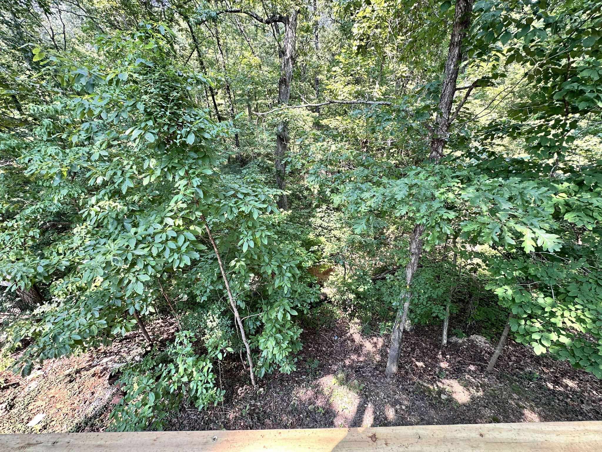 120 Frontier  Ozark Acres, AR
