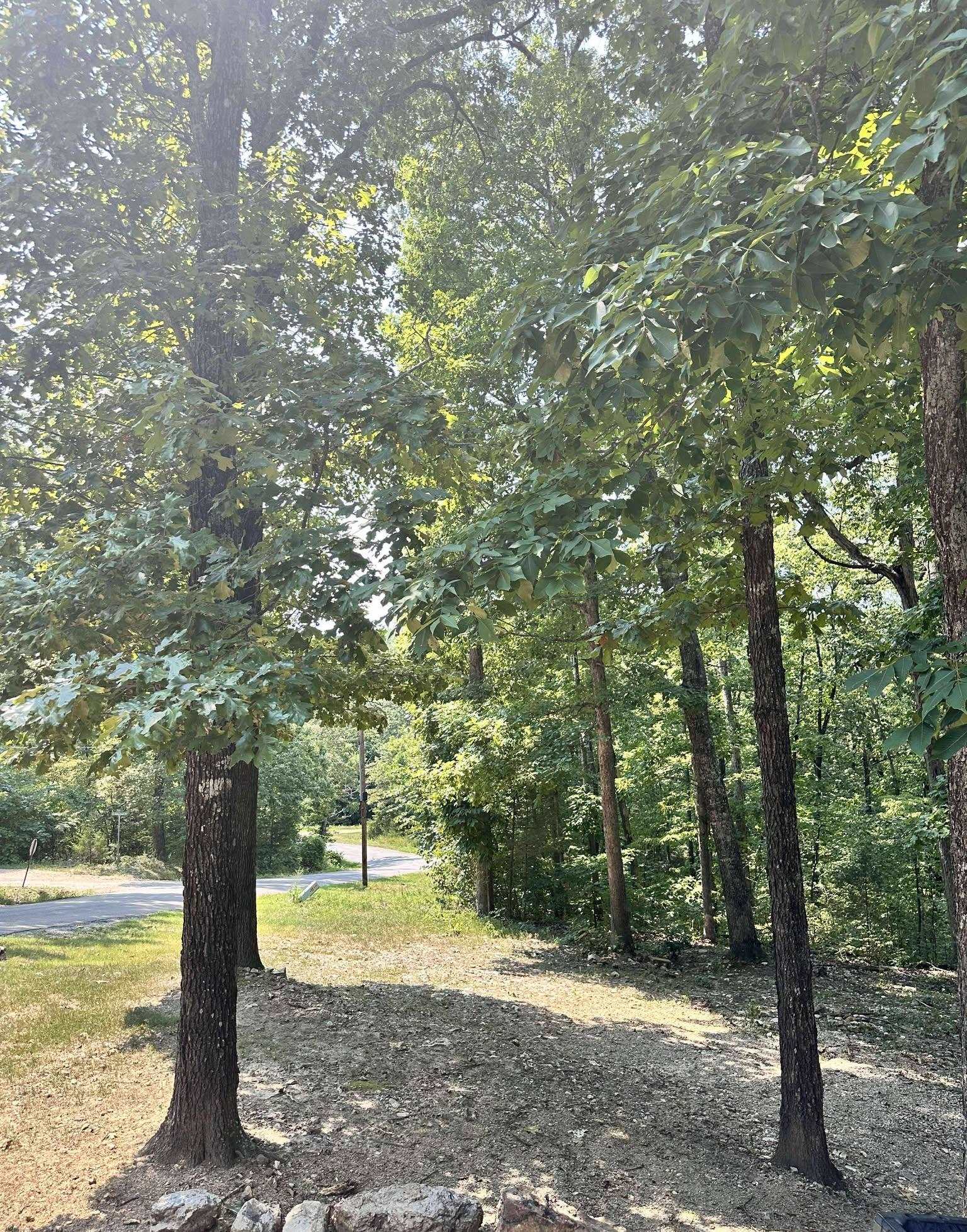 120 Frontier  Ozark Acres, AR