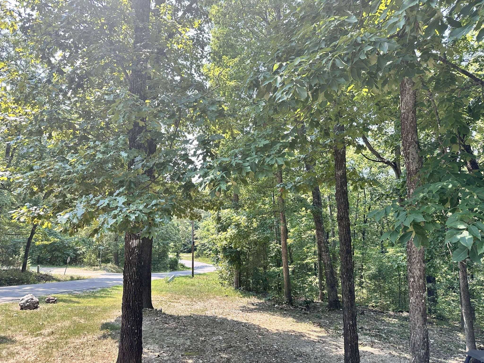120 Frontier  Ozark Acres, AR