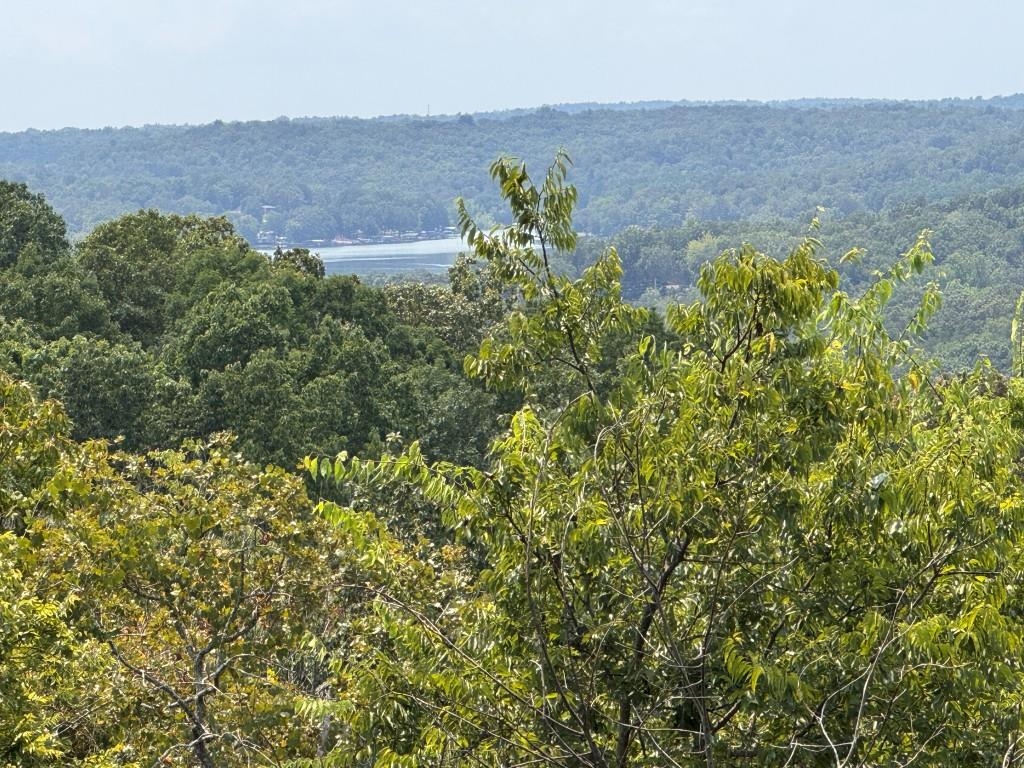 2 Goti  Cherokee Village, AR
