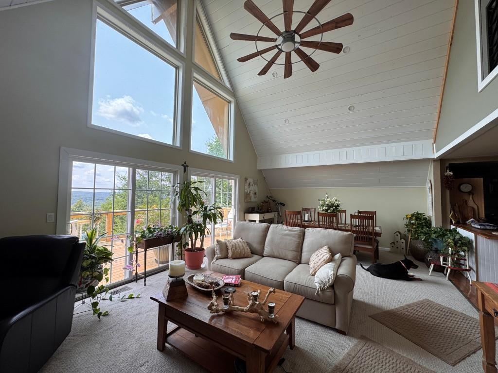 2 Goti  Cherokee Village, AR