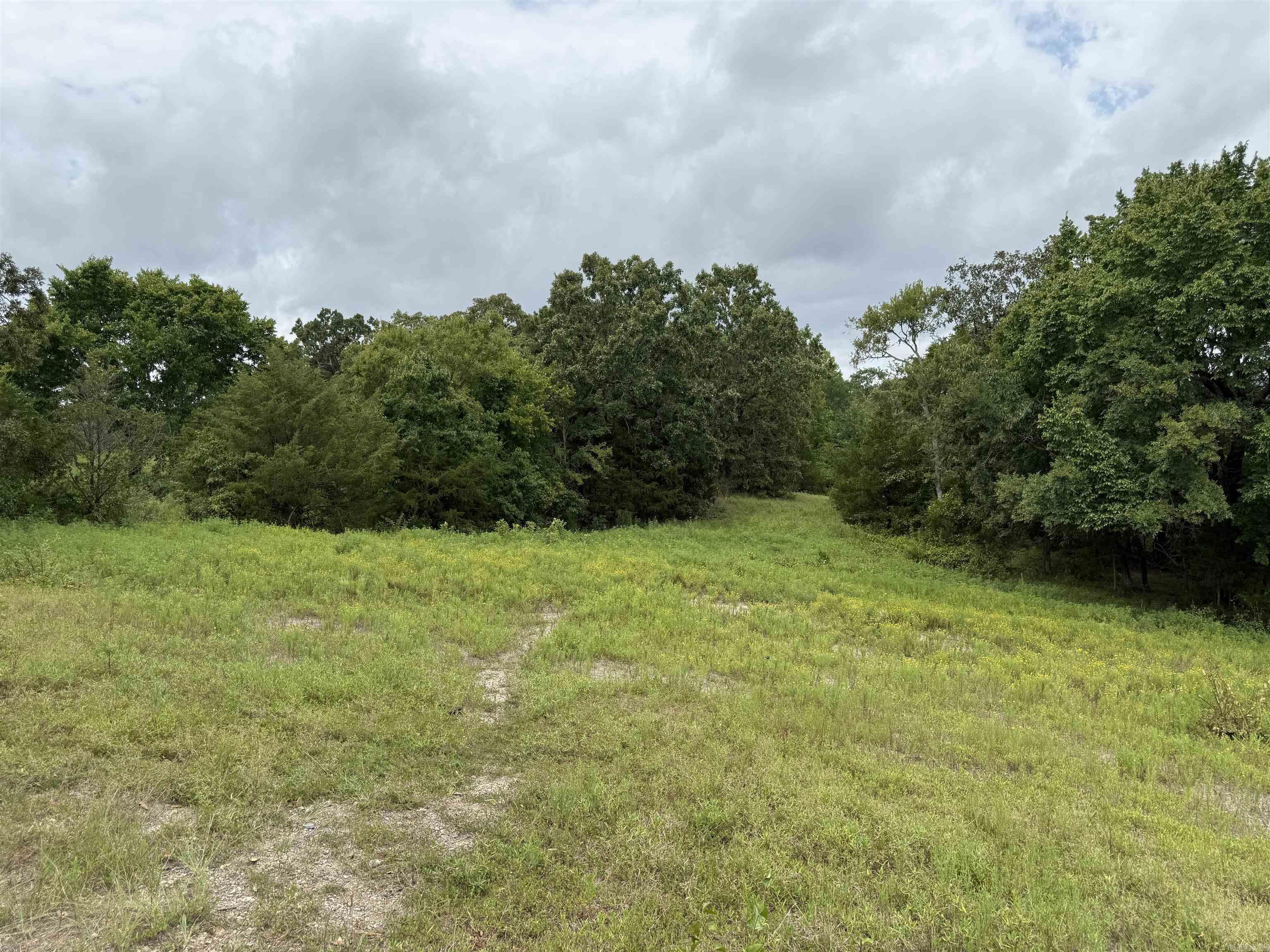 XXX Polk Road 71  Mena, AR