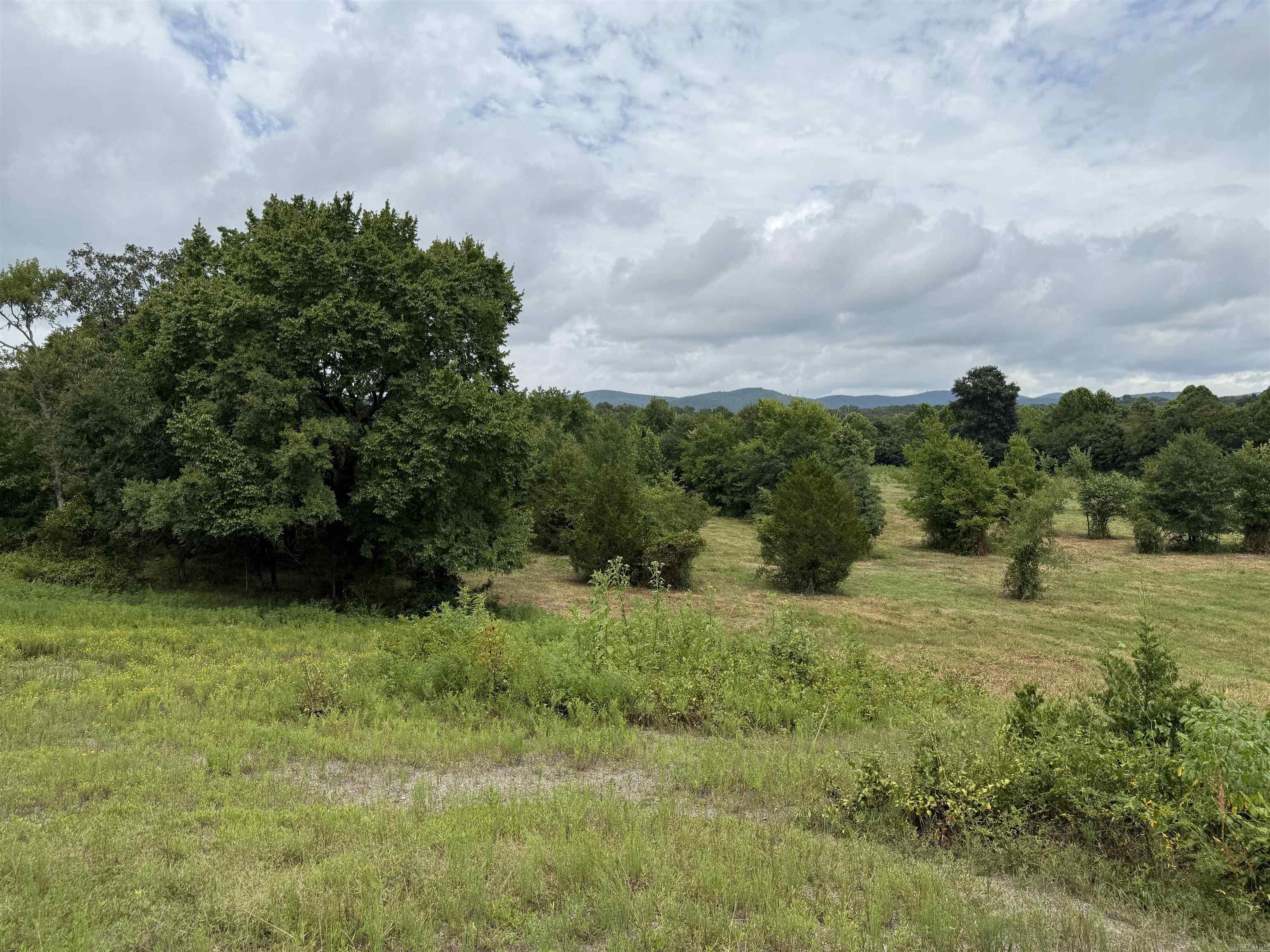 XXX Polk Road 71  Mena, AR
