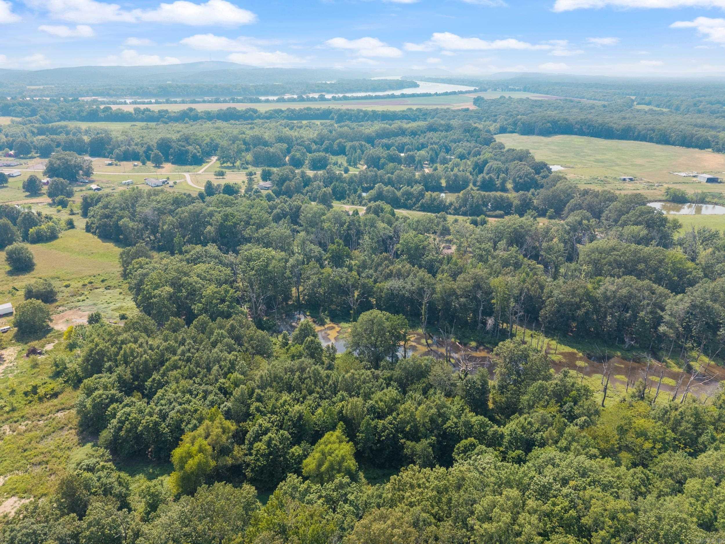18 Pasilee  Mayflower, AR