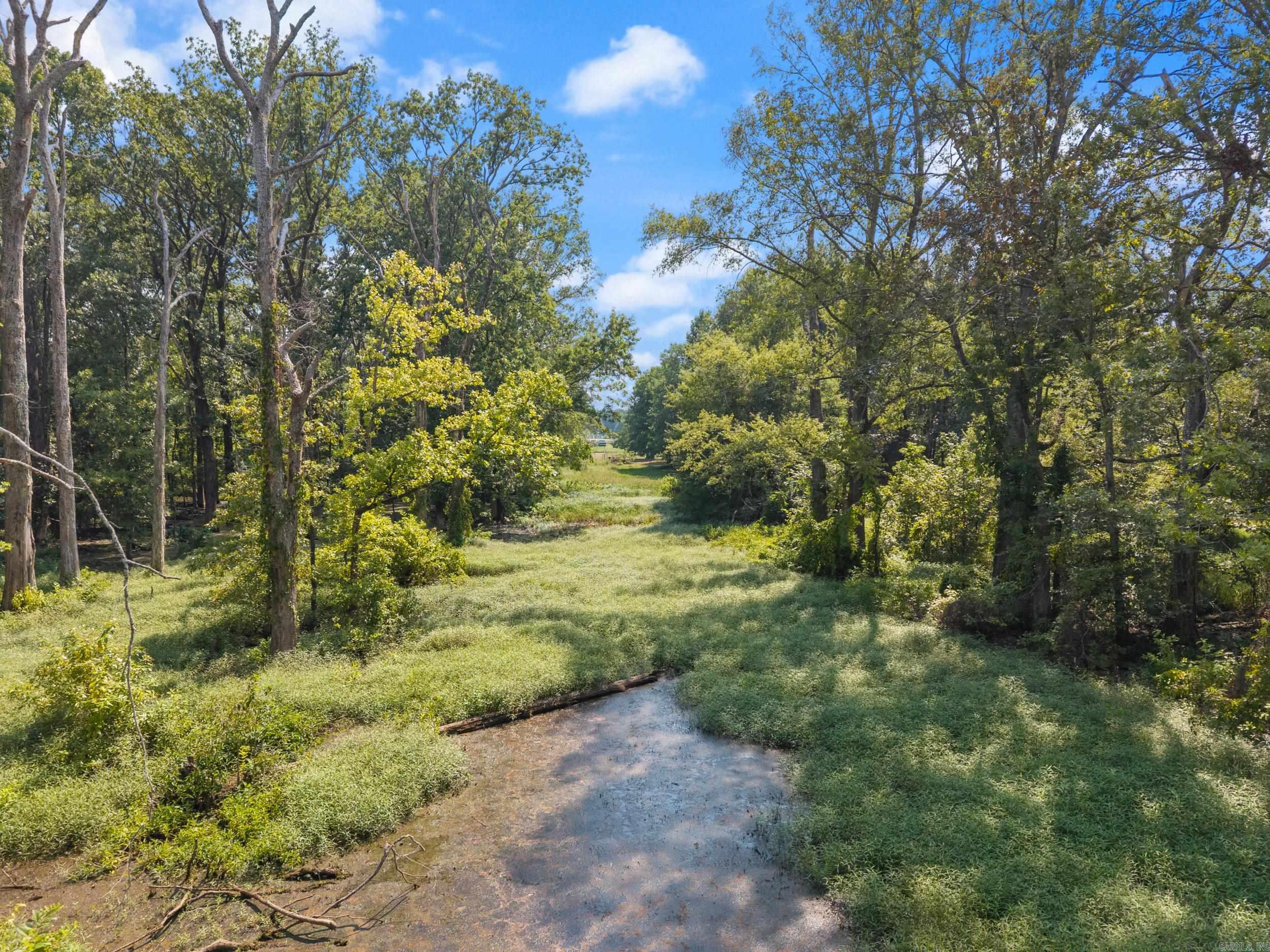 18 Pasilee  Mayflower, AR