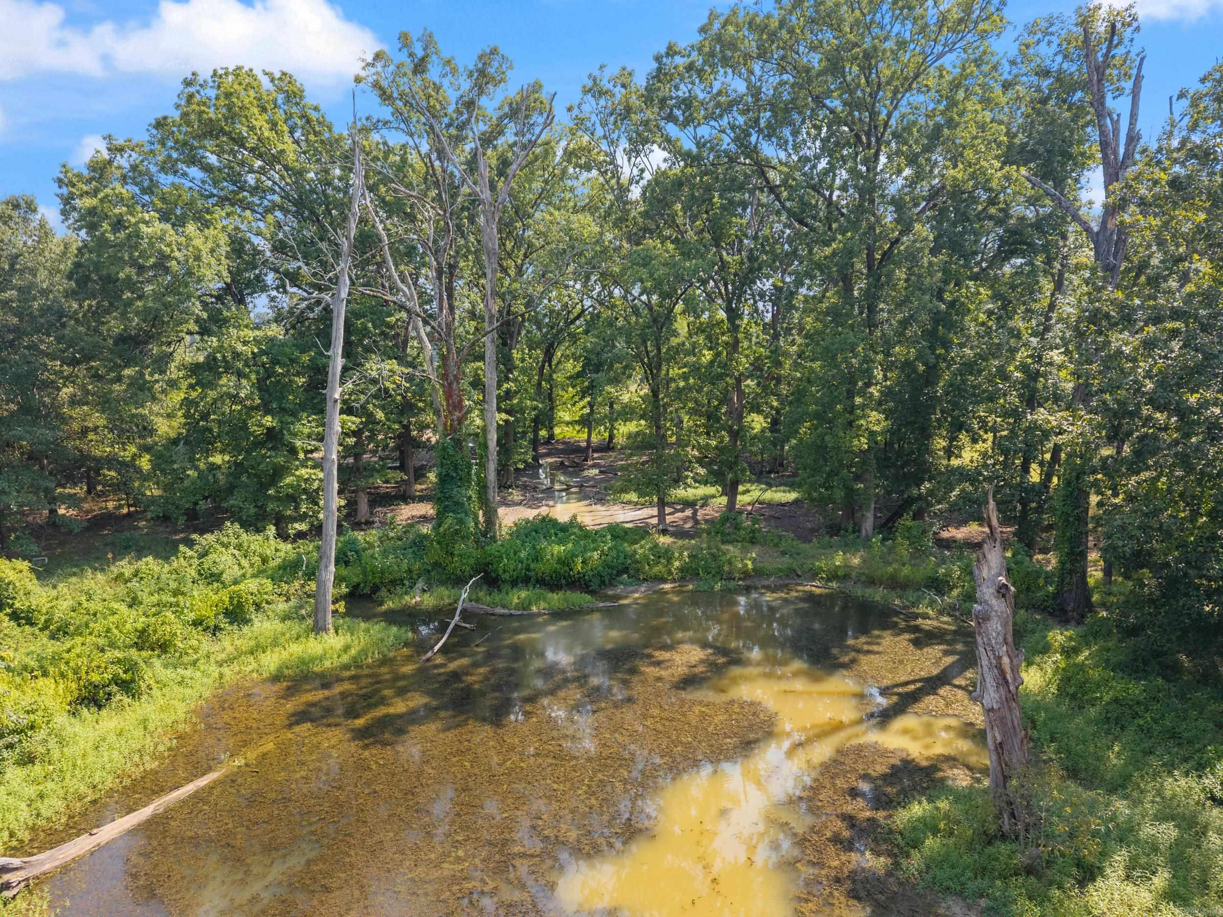 18 Pasilee  Mayflower, AR