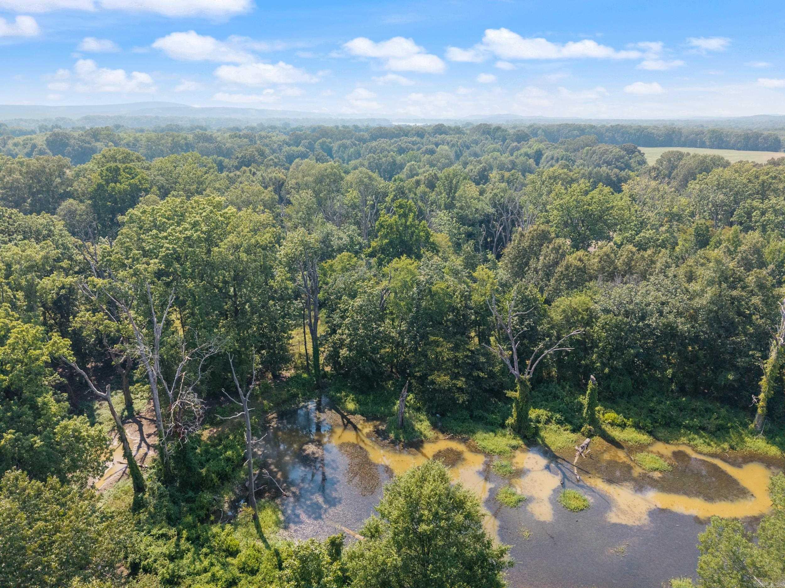 18 Pasilee  Mayflower, AR