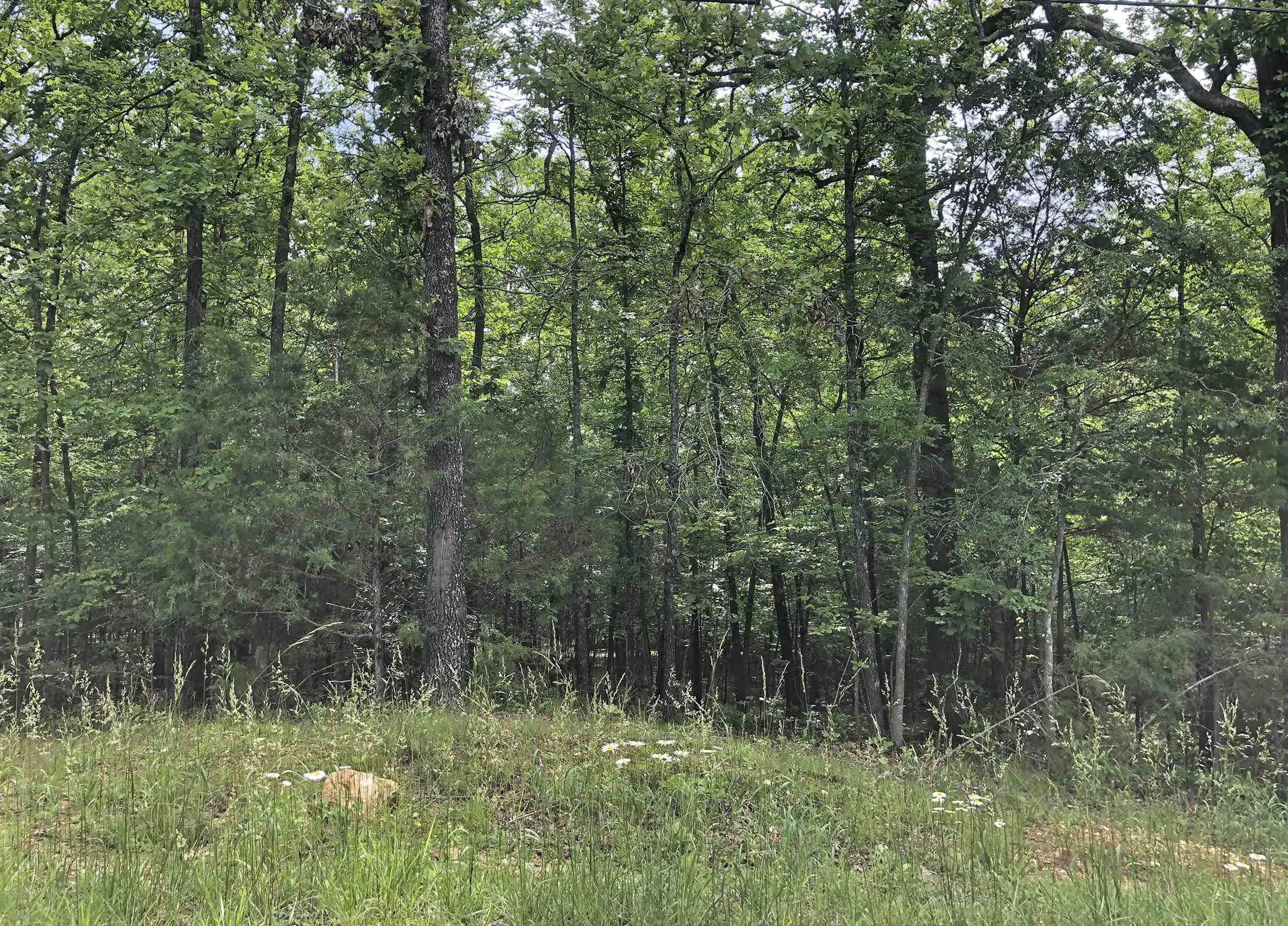  Okmulgee  Cherokee Village, AR