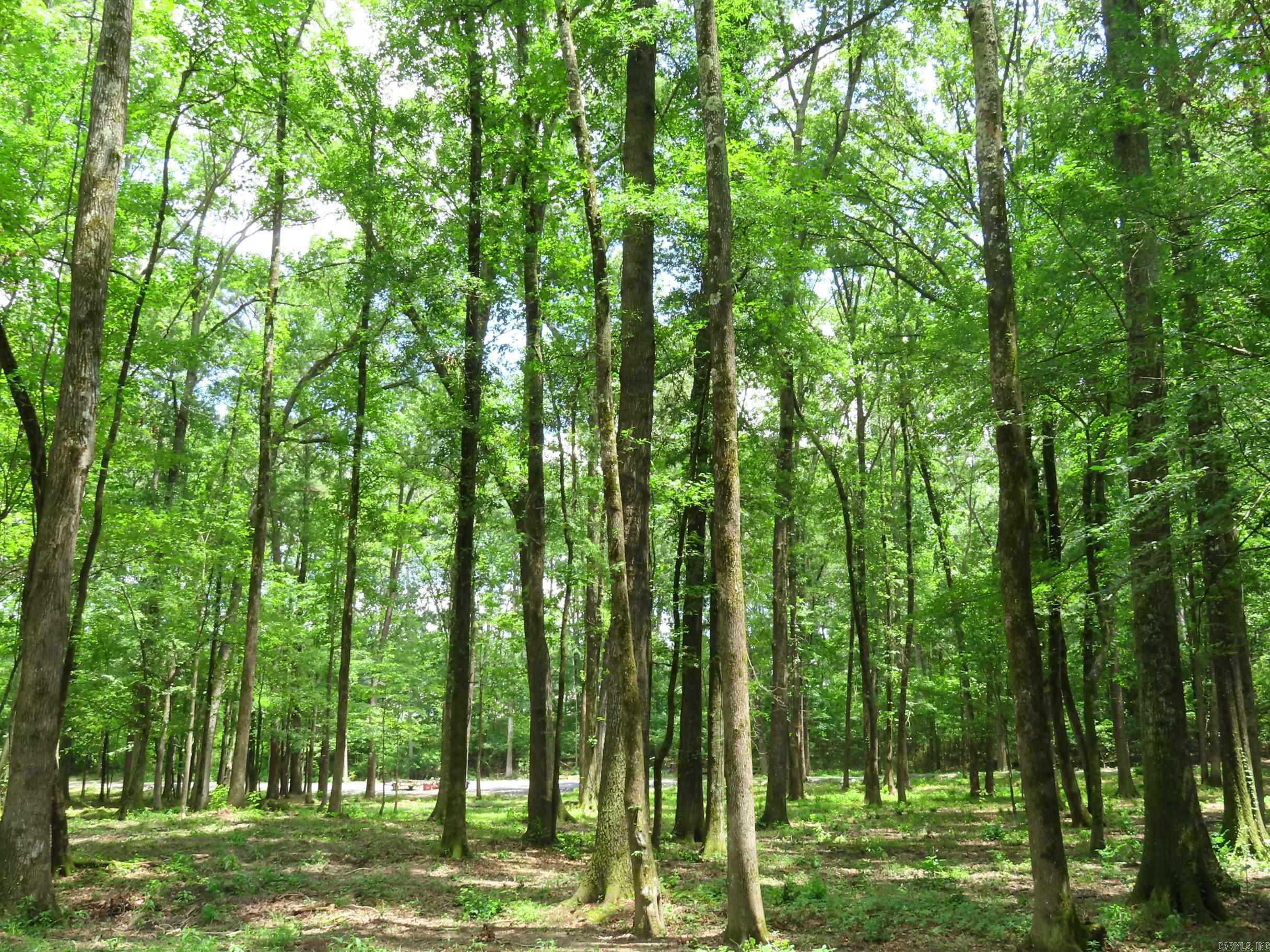 15 Acres Sidell  Benton, AR