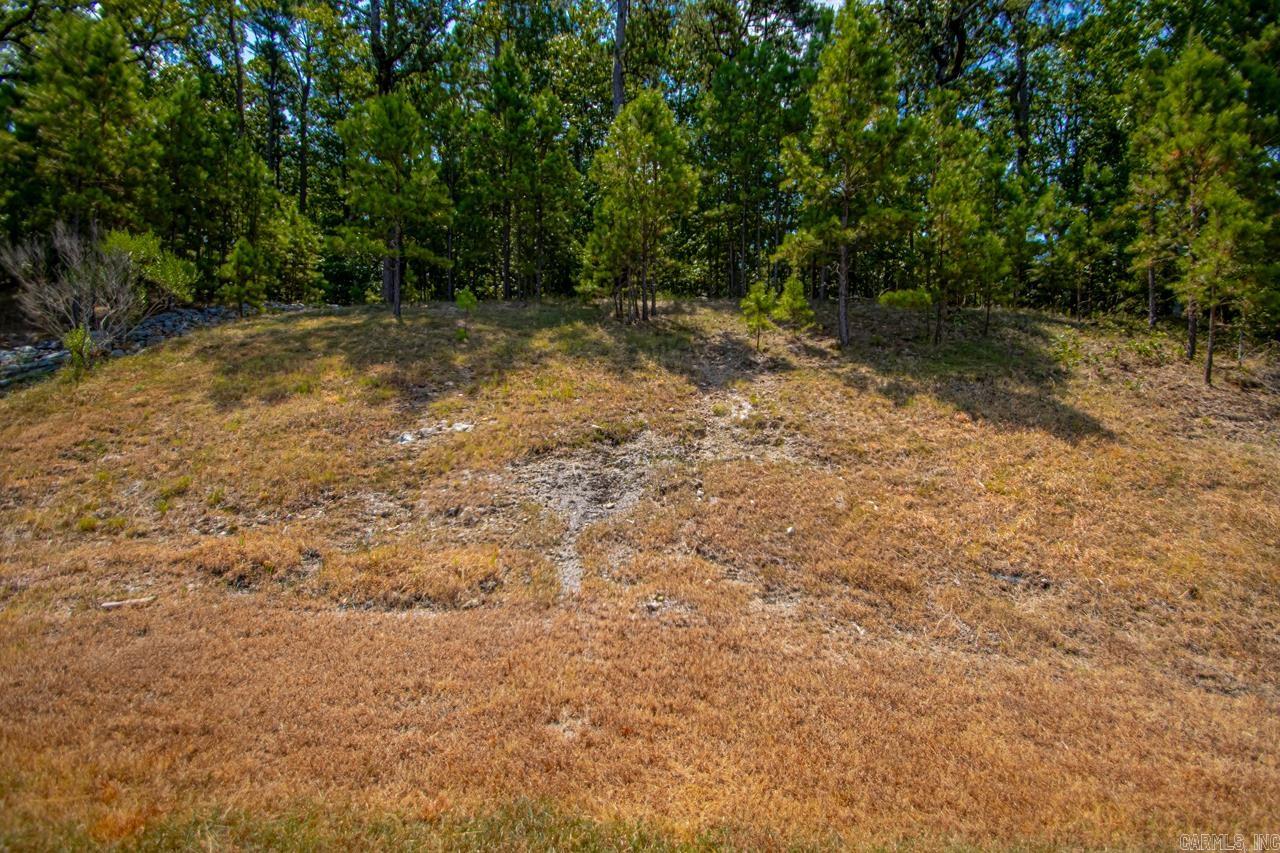 119 Harmony Loop  Maumelle, AR