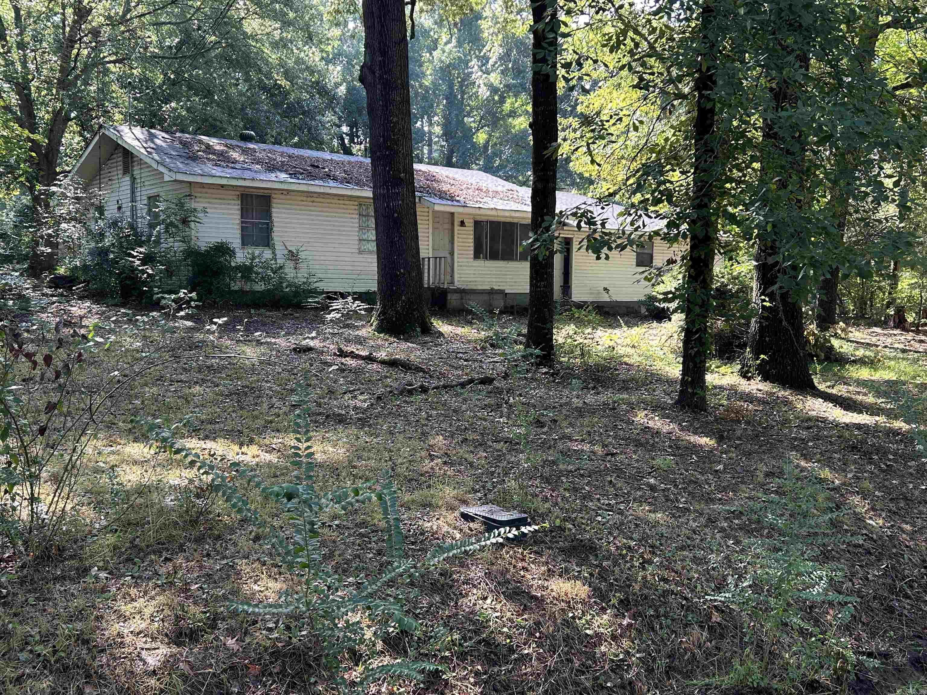 46 Sunset Loop Perryville, AR 72126-8619