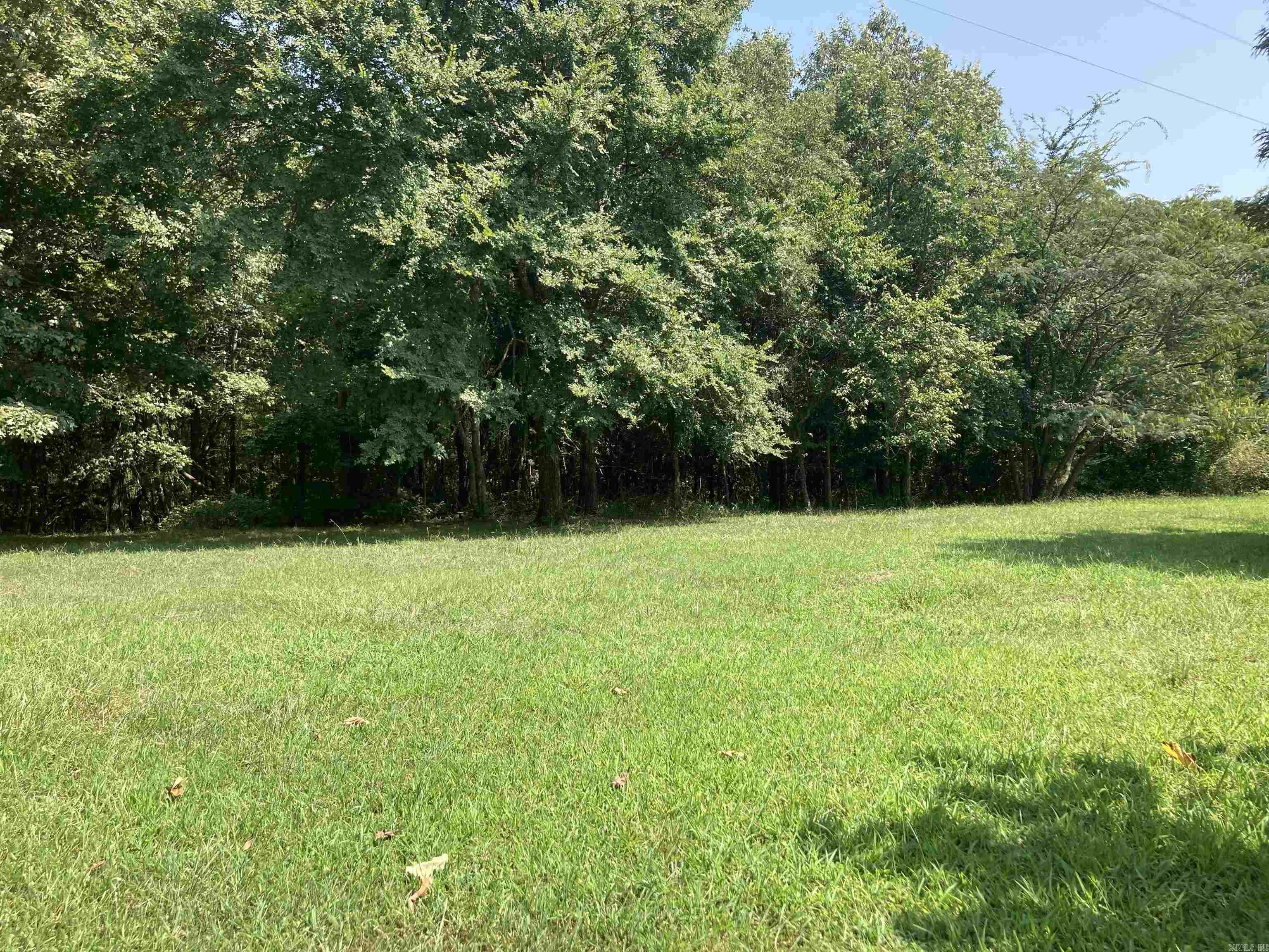 TBD Polk Road 136  Cove, AR